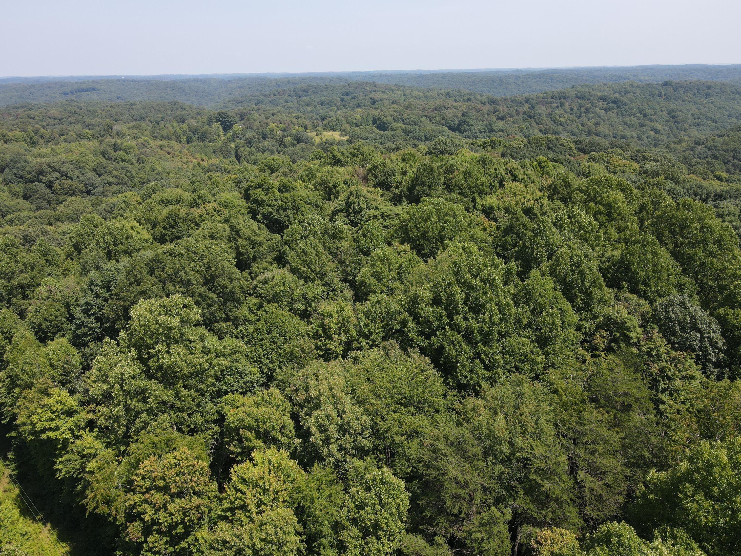 24630 Turner Road Property Photo 12