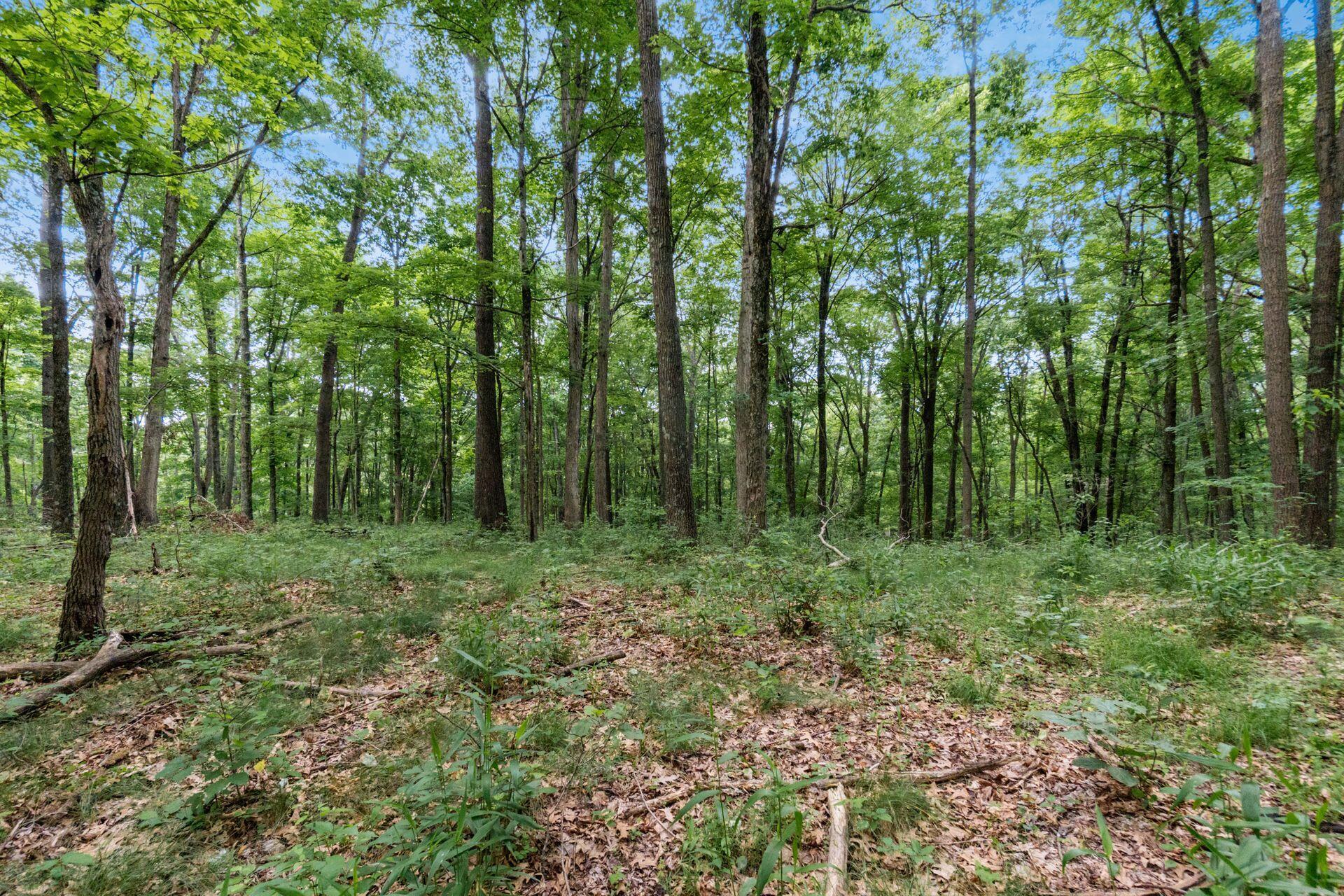 24630 Turner Road Property Photo 37