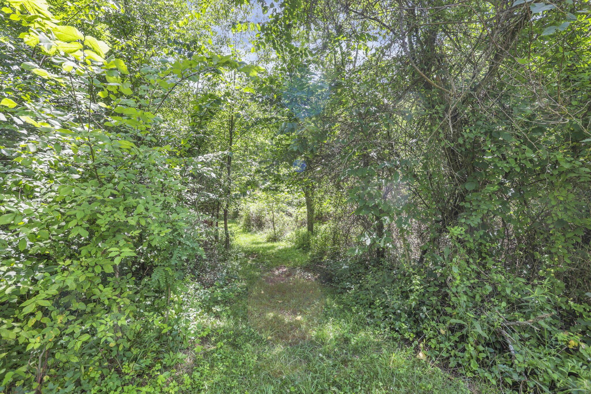 18750 Griffith Road Property Photo 30