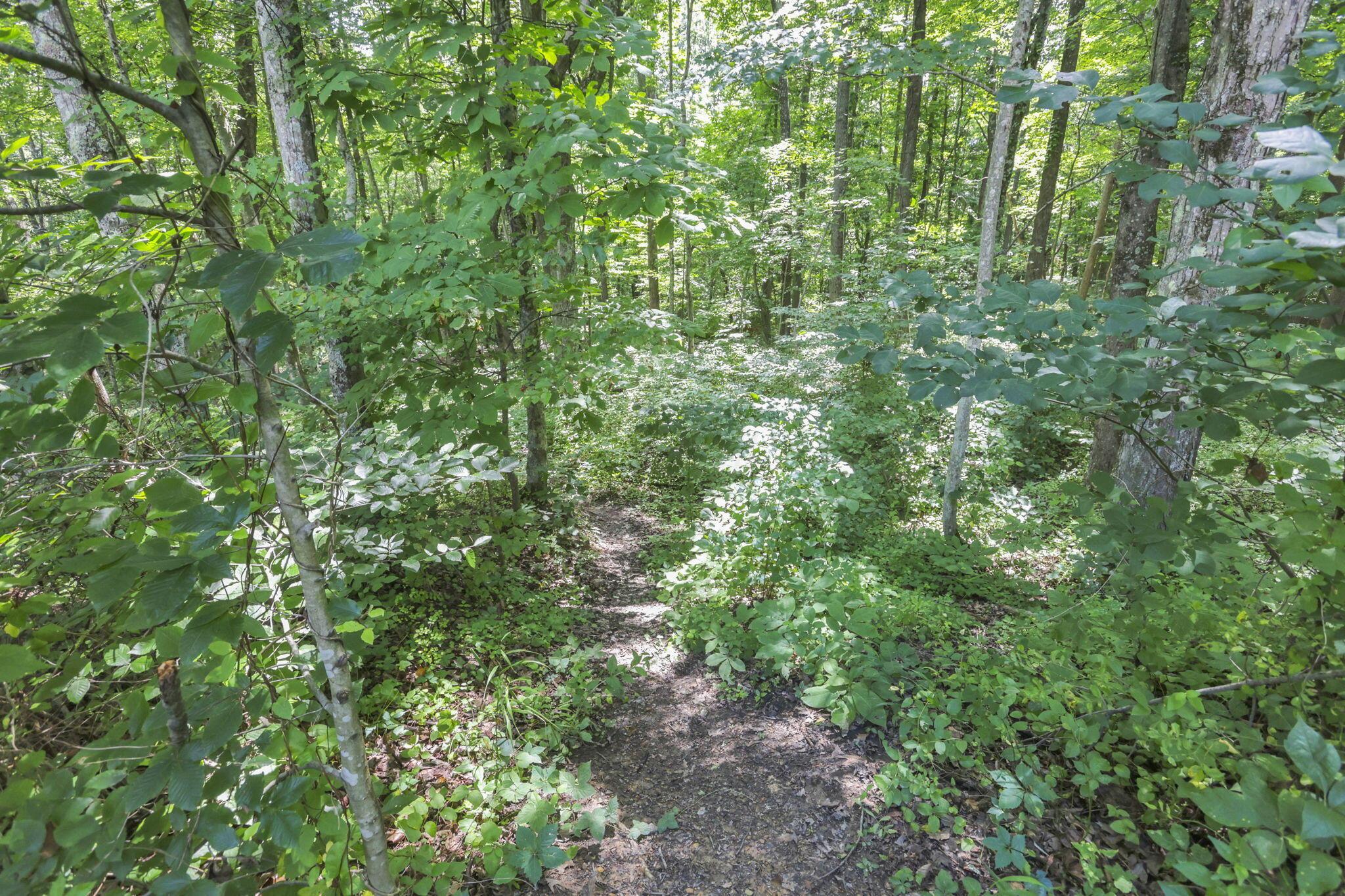 18750 Griffith Road Property Photo 31