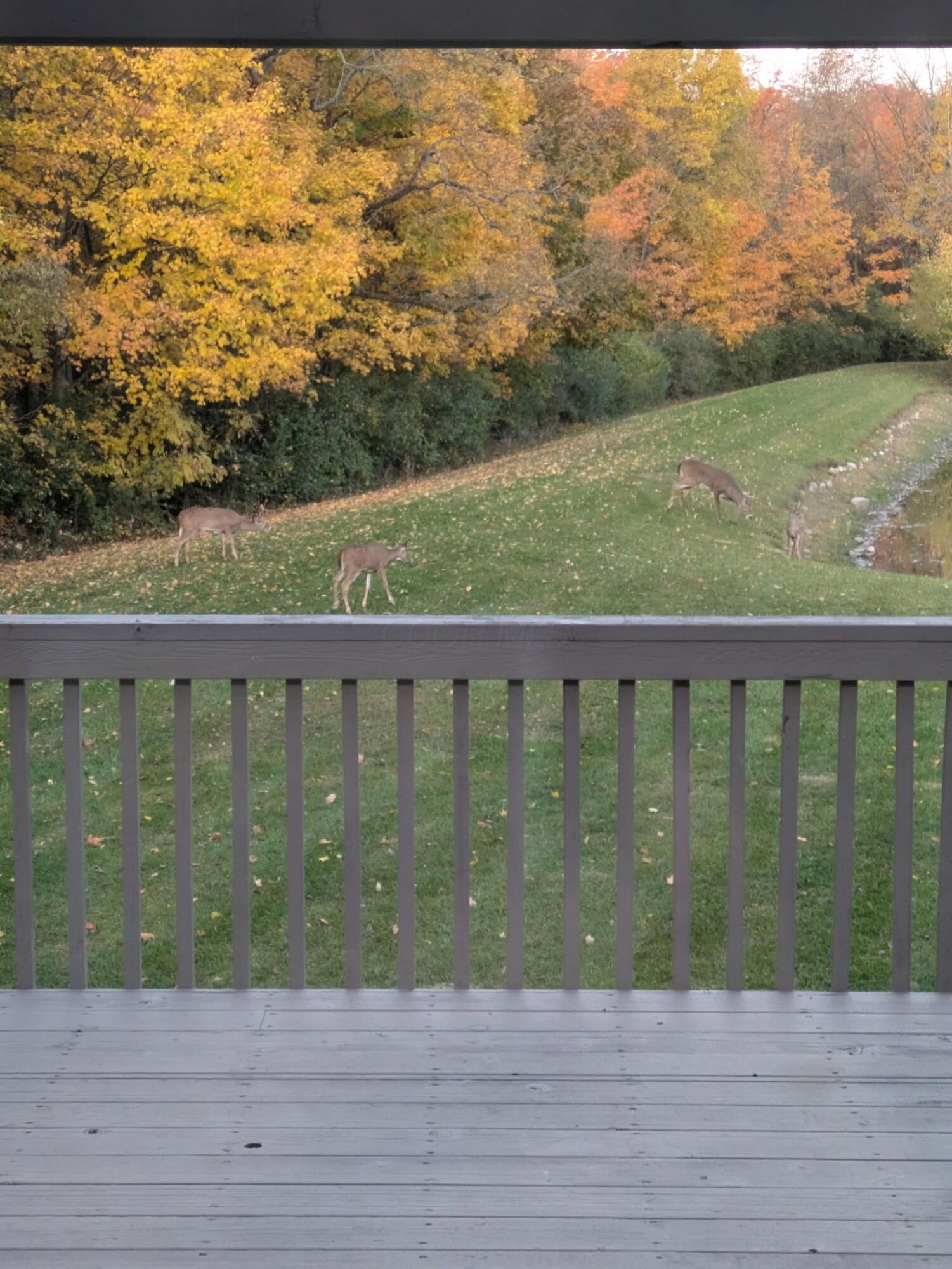 1525 Cole Road Property Photo 82