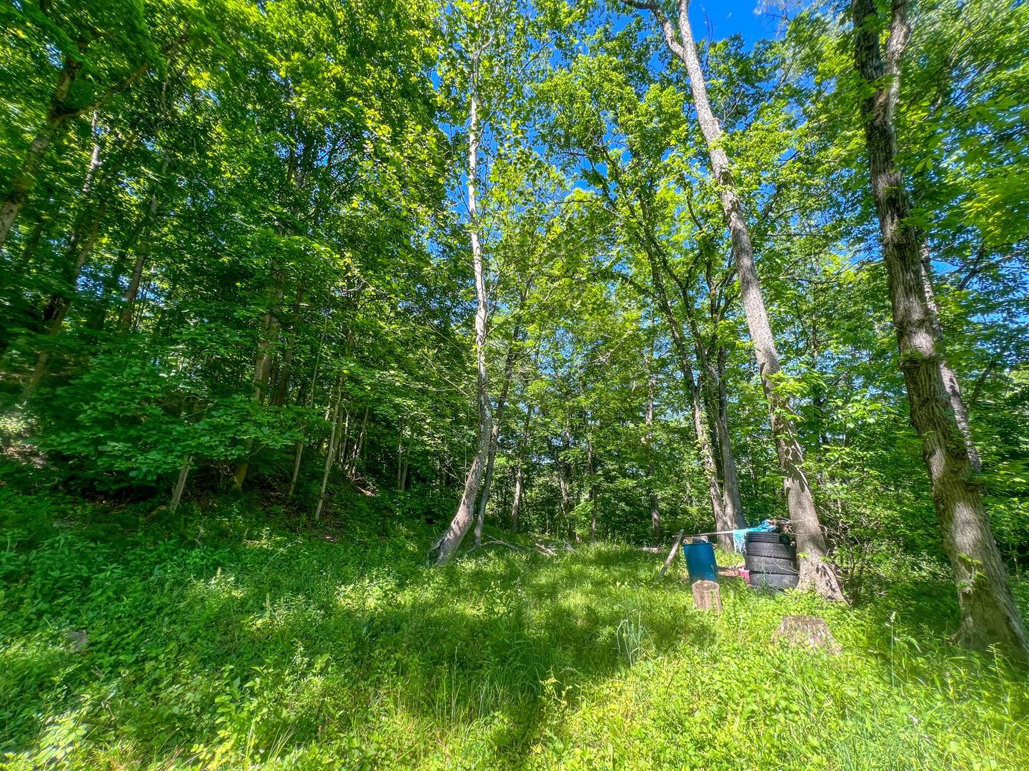 0 Rush Run Road Property Photo 2