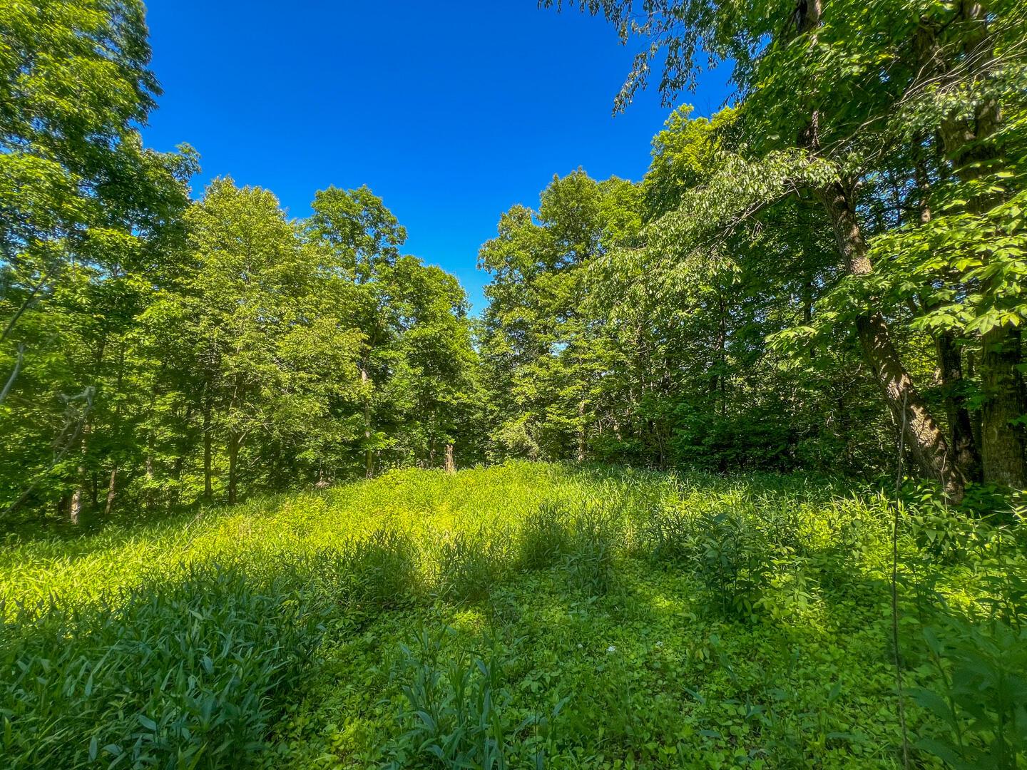 0 Rush Run Road Property Photo 10