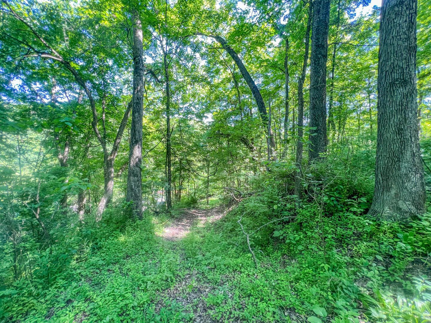 0 Rush Run Road Property Photo 15