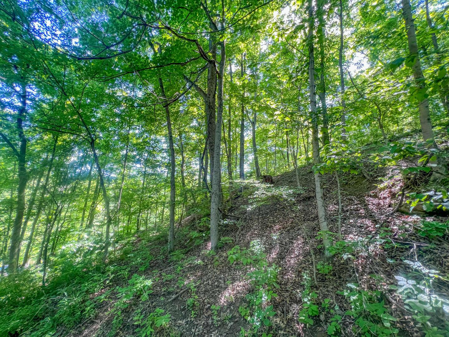 0 Rush Run Road Property Photo 16