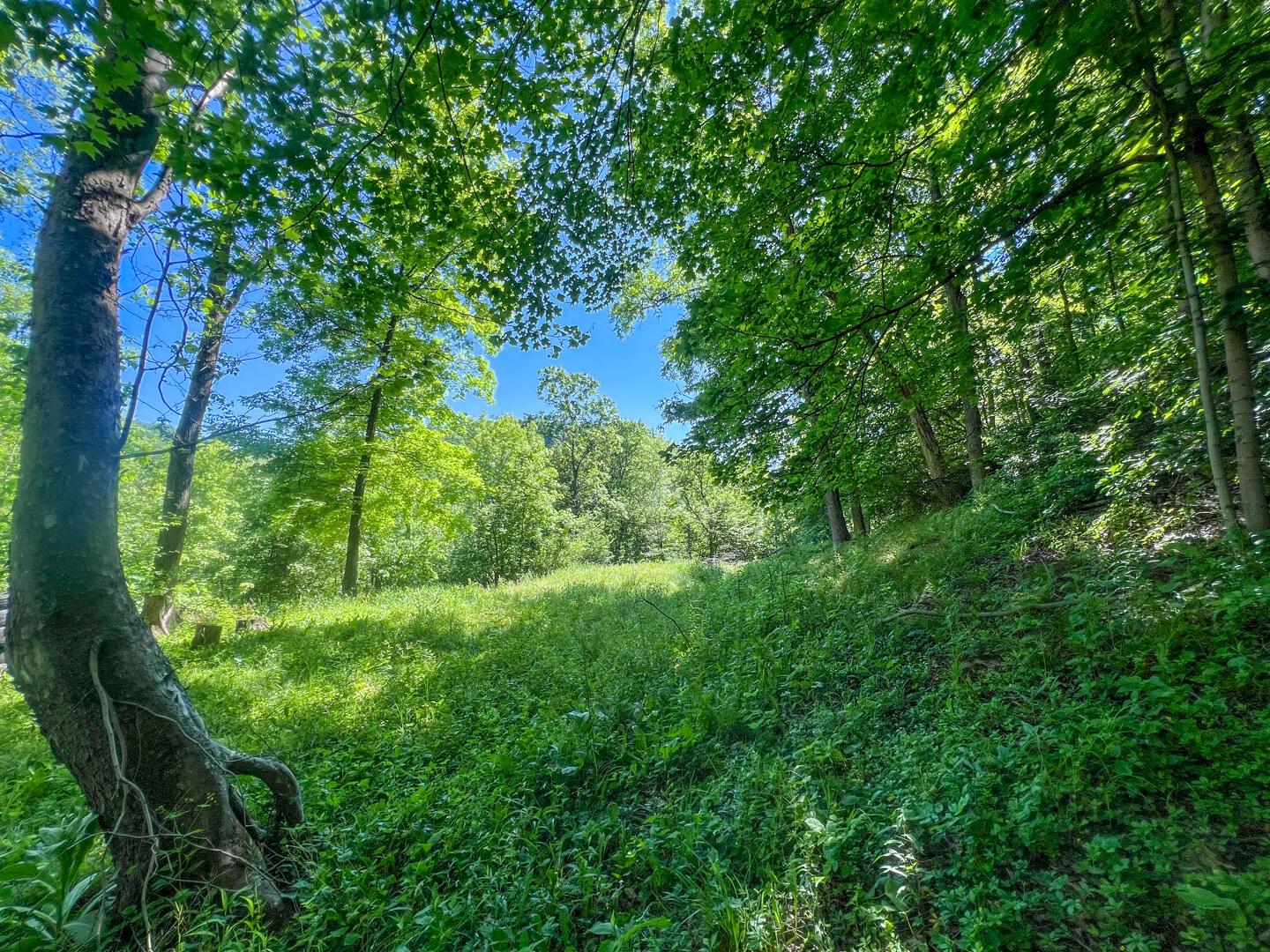 0 Rush Run Road Property Photo 17