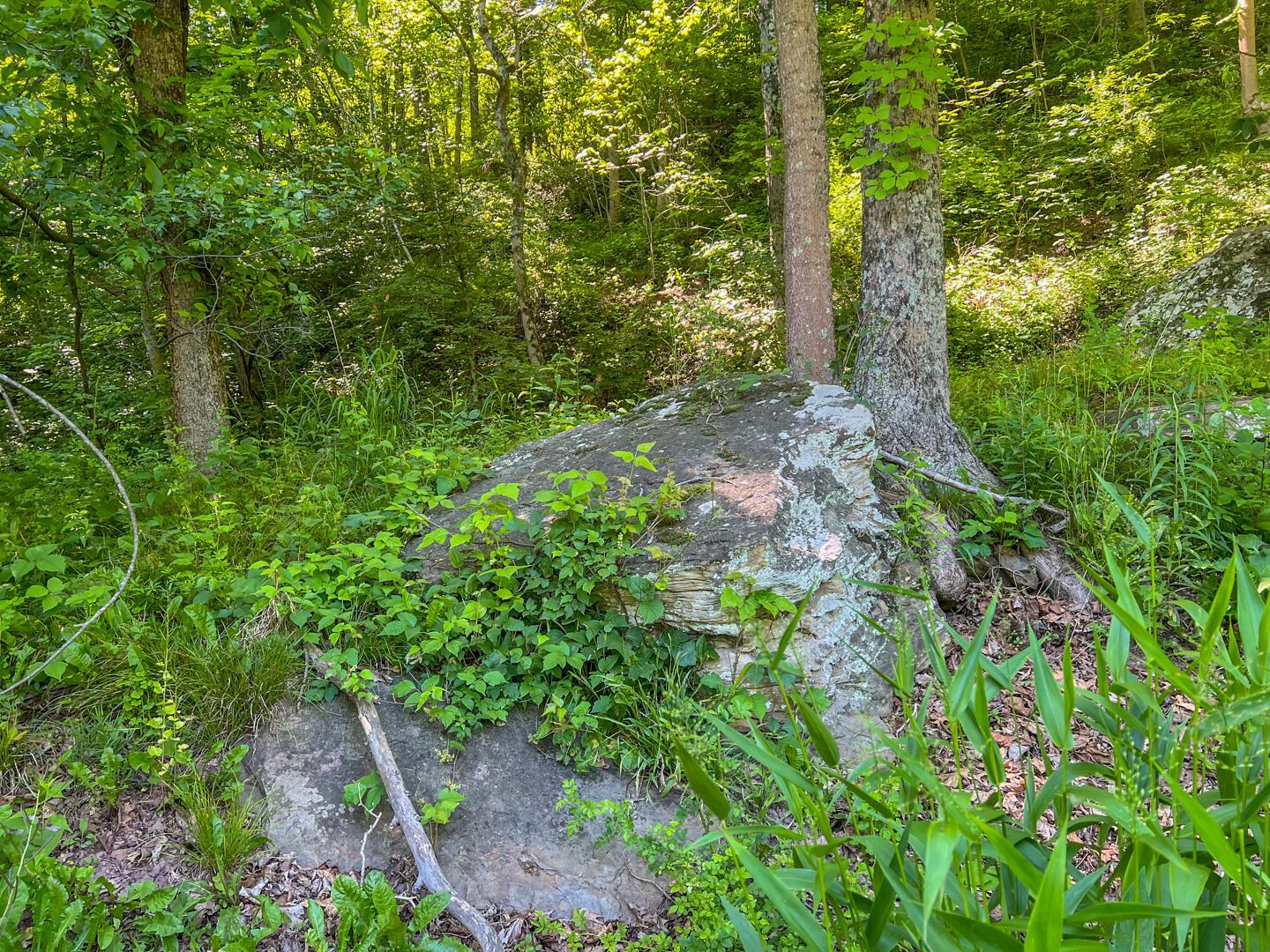 0 Rush Run Road Property Photo 19