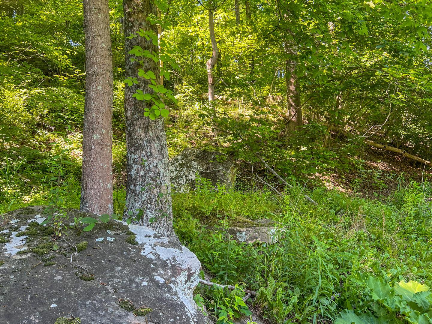 0 Rush Run Road Property Photo 20