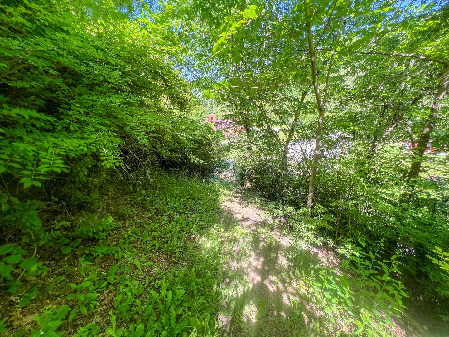 0 Rush Run Road Property Photo 21