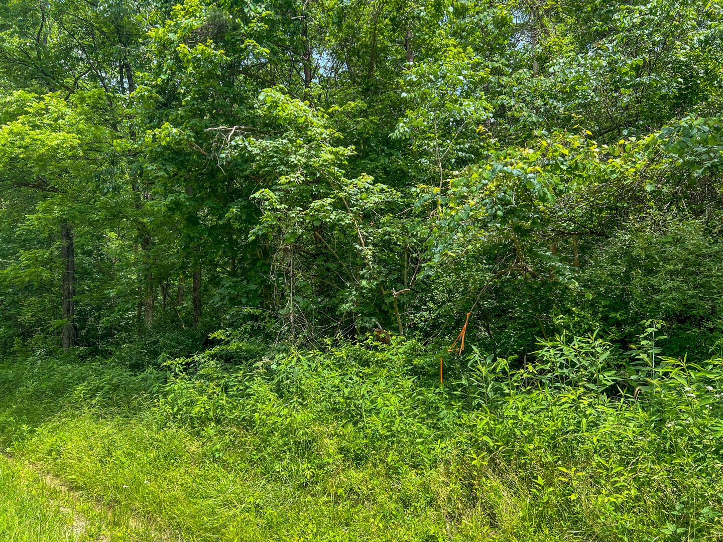 0 Rush Run Road Property Photo 23
