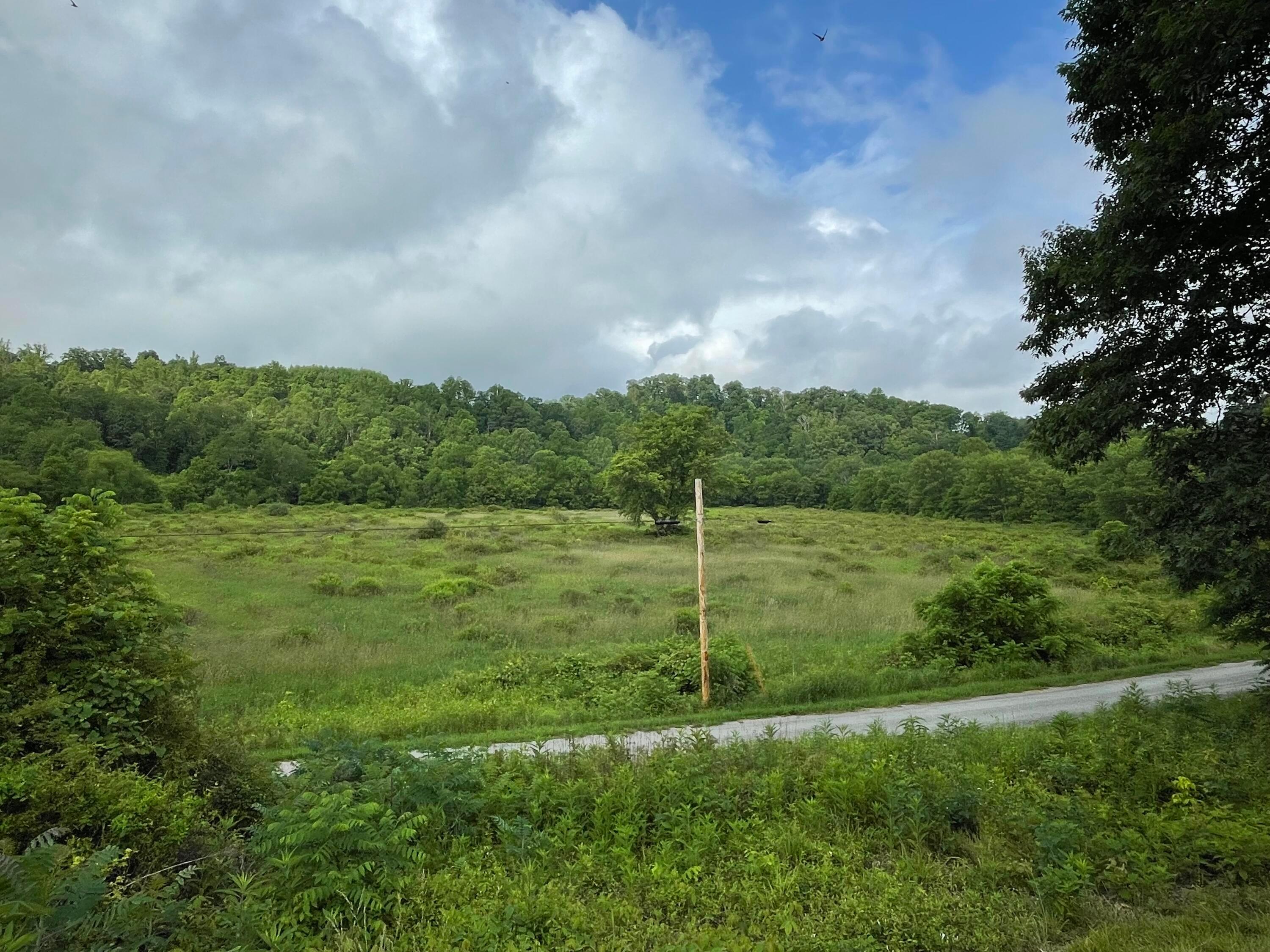 960 Rockcamp Road Property Photo 57