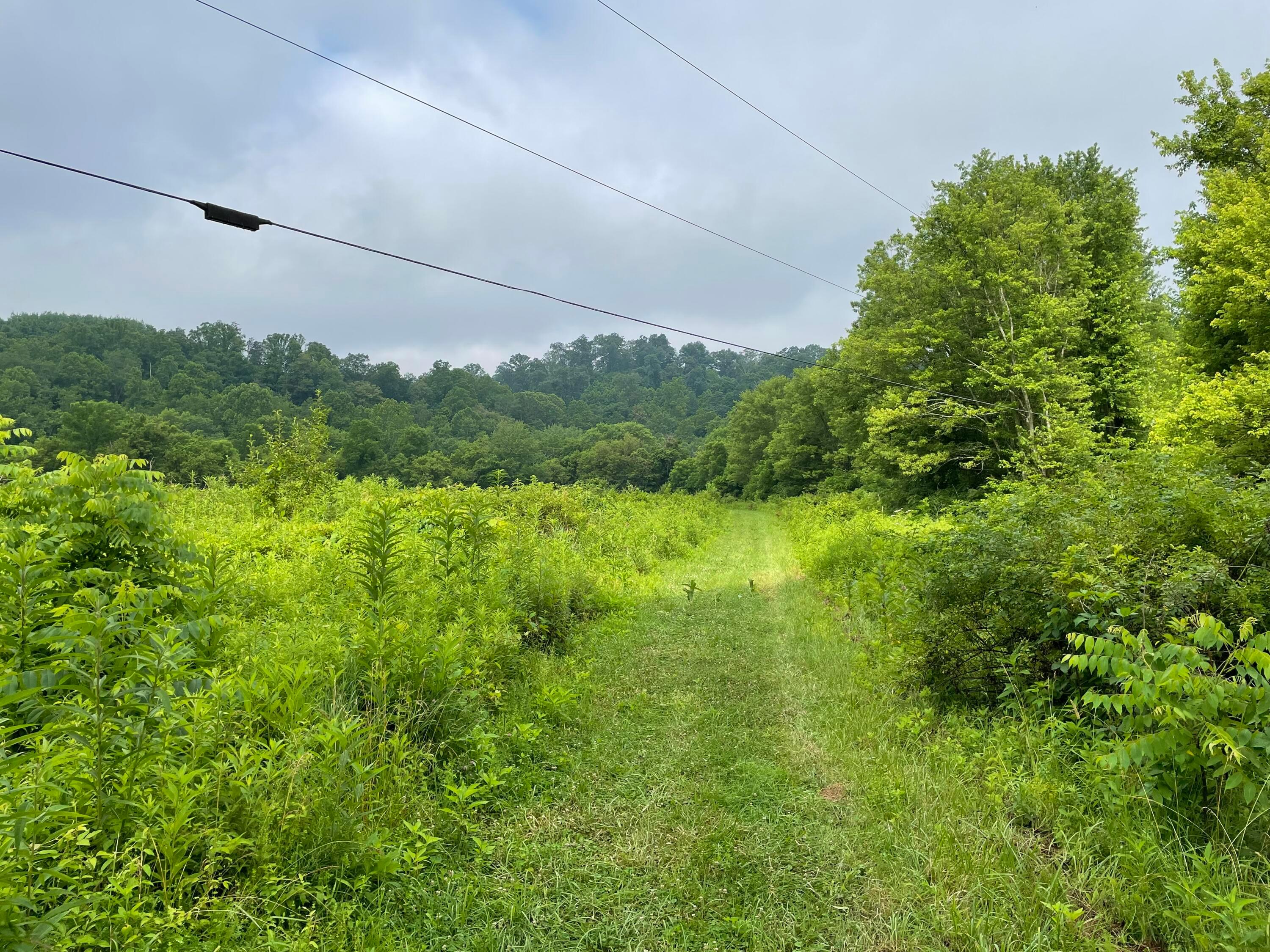 960 Rockcamp Road Property Photo 63