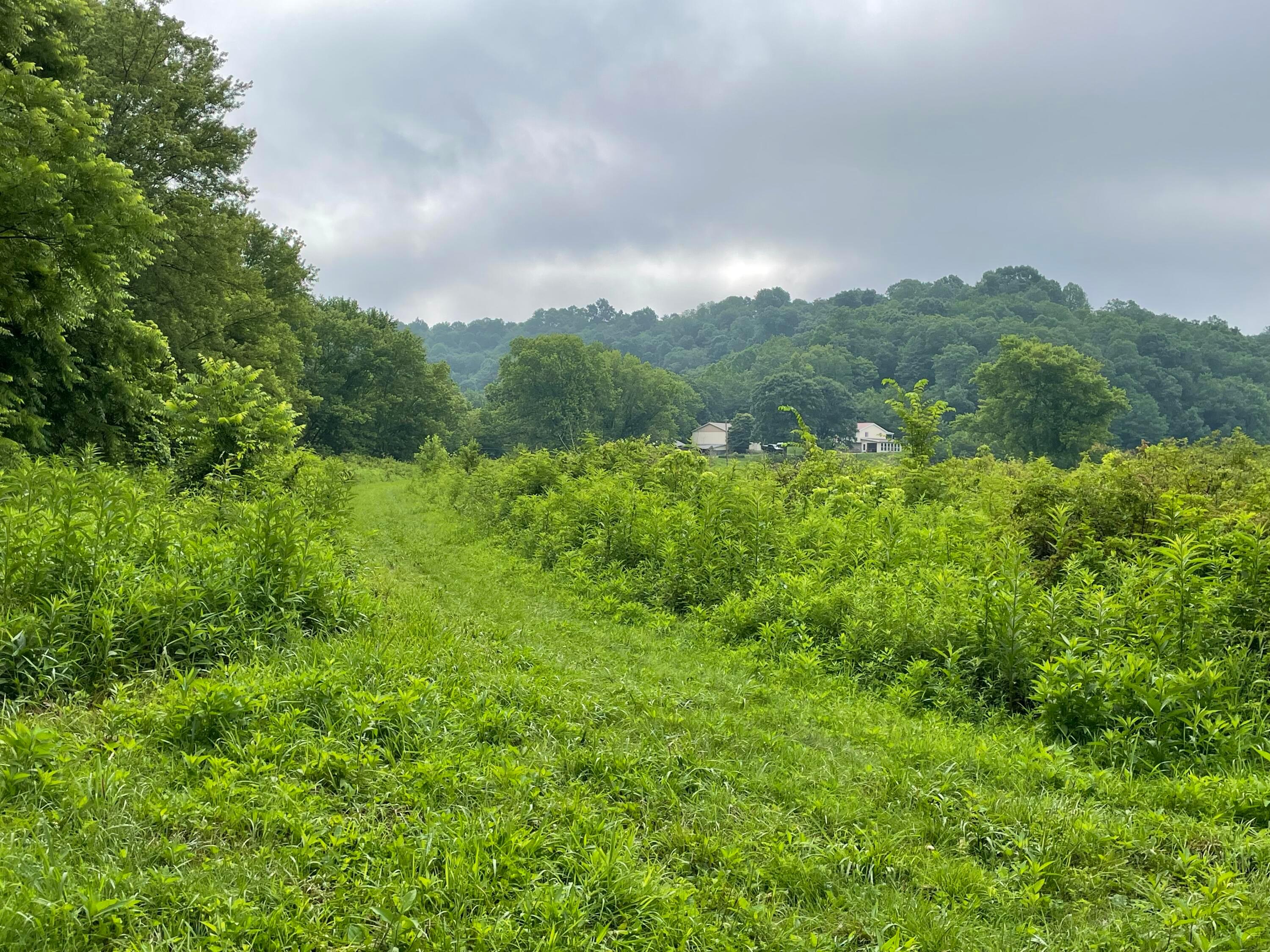 960 Rockcamp Road Property Photo 64