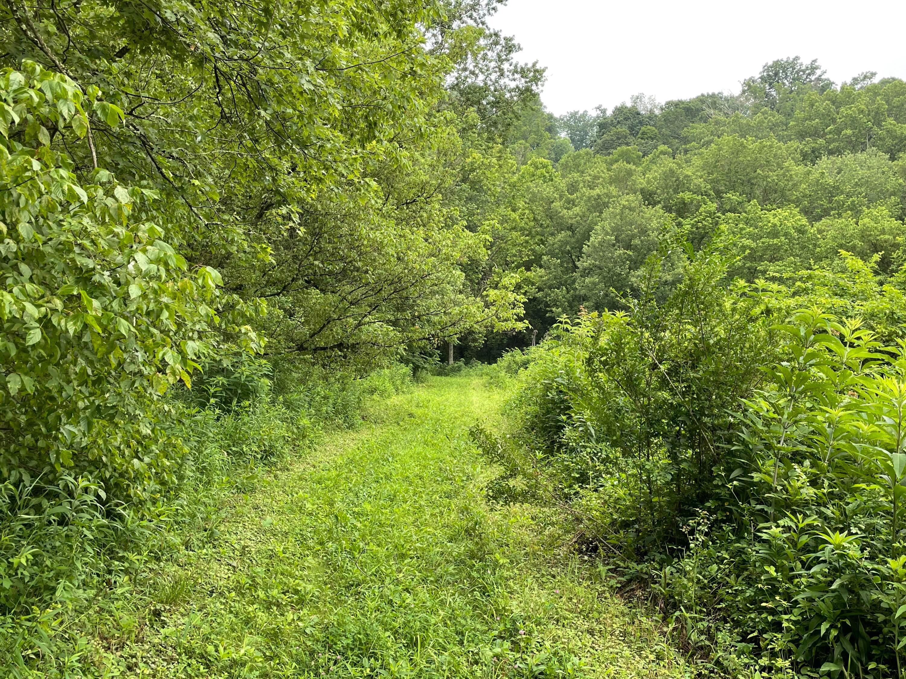 960 Rockcamp Road Property Photo 65