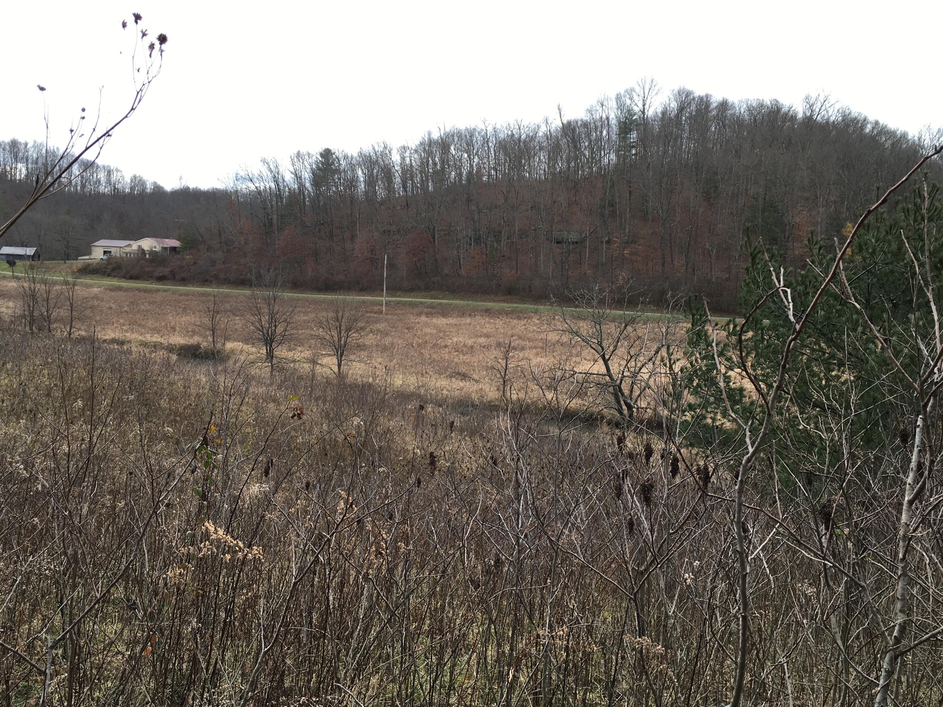 960 Rockcamp Road Property Photo 69