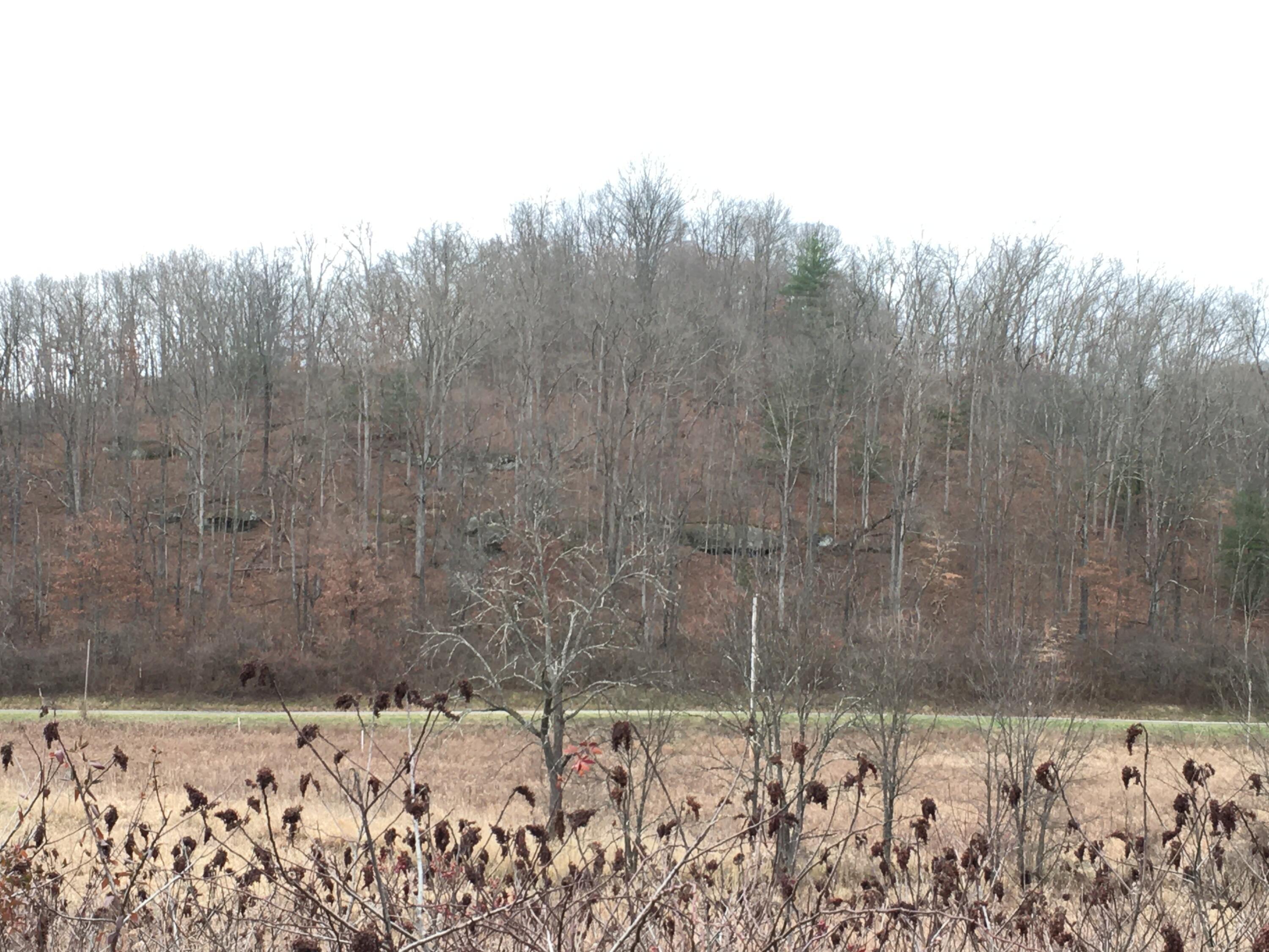 960 Rockcamp Road Property Photo 70