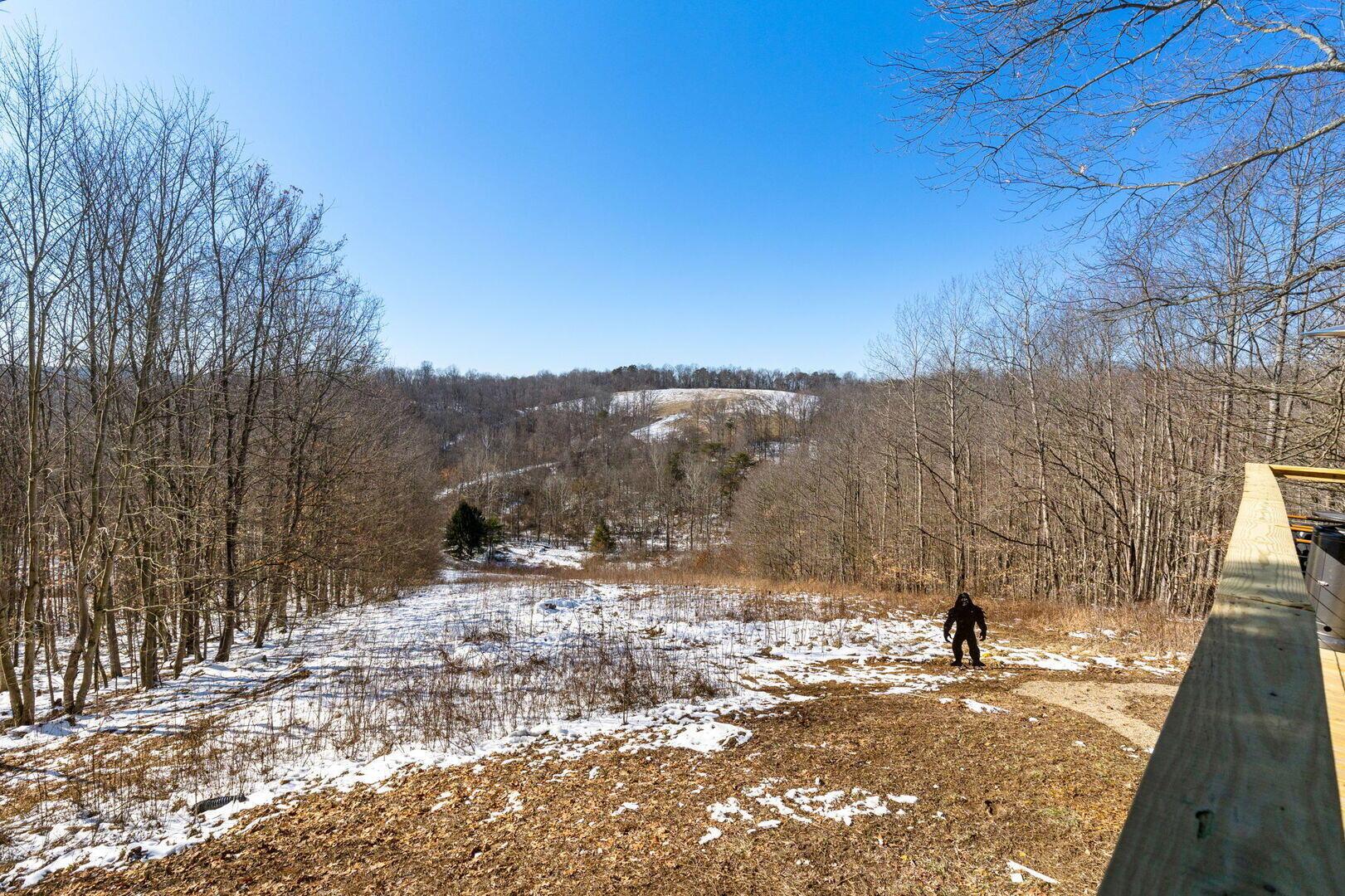 11139 Helber Road Property Photo 65