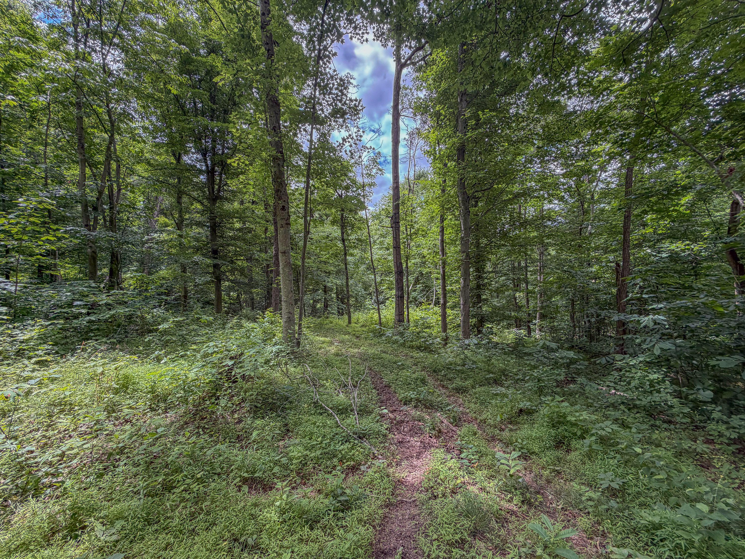0 Ohio 7 Property Photo 26