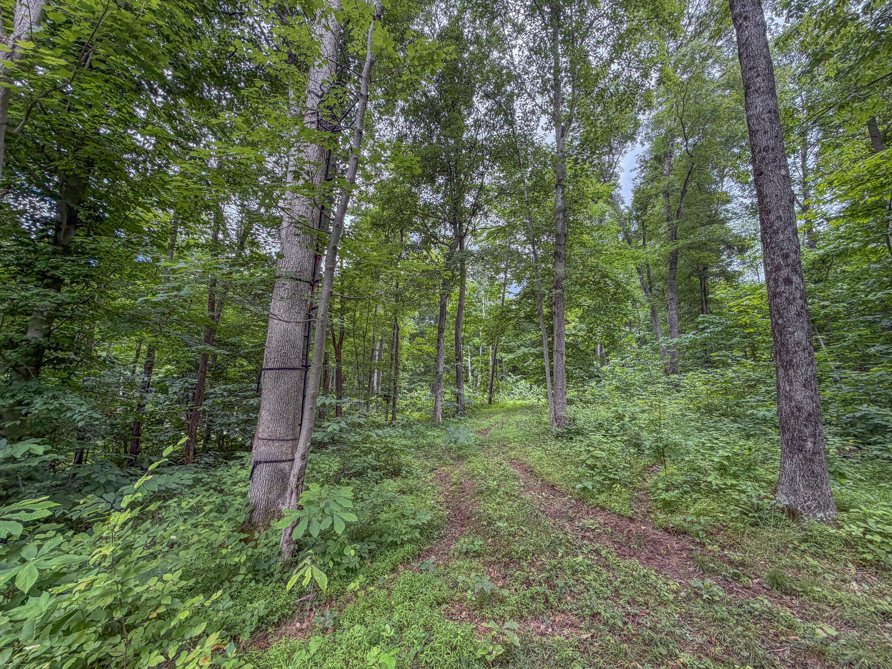 0 Ohio 7 Property Photo 27