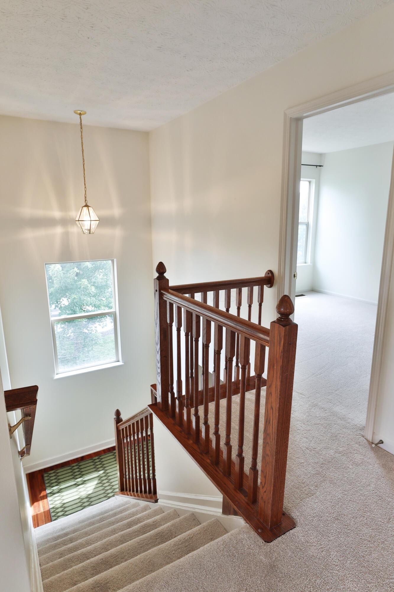 3193 Guffey Drive Property Photo 25