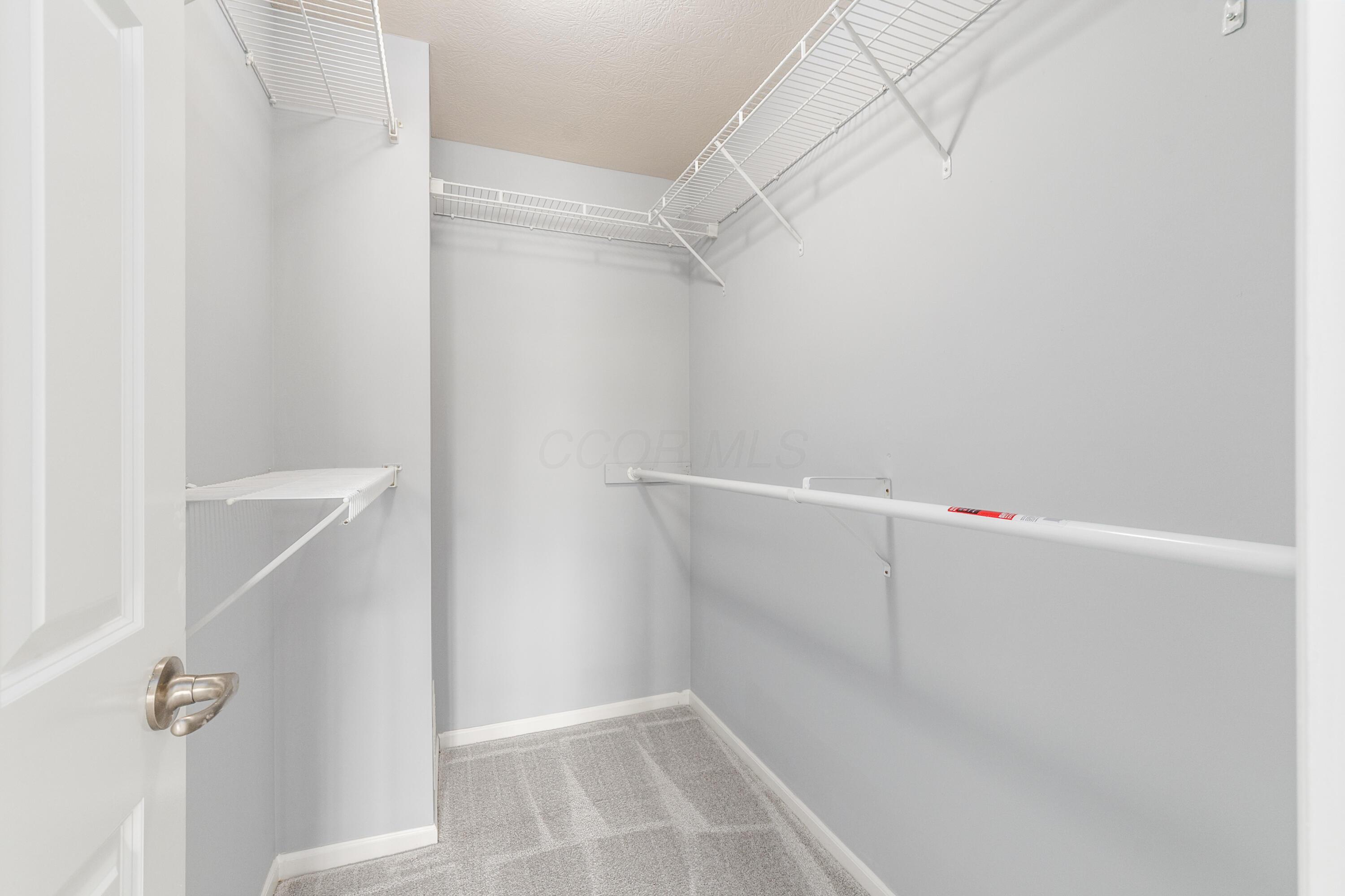 4955 Ivyvine Boulevard Property Photo 22