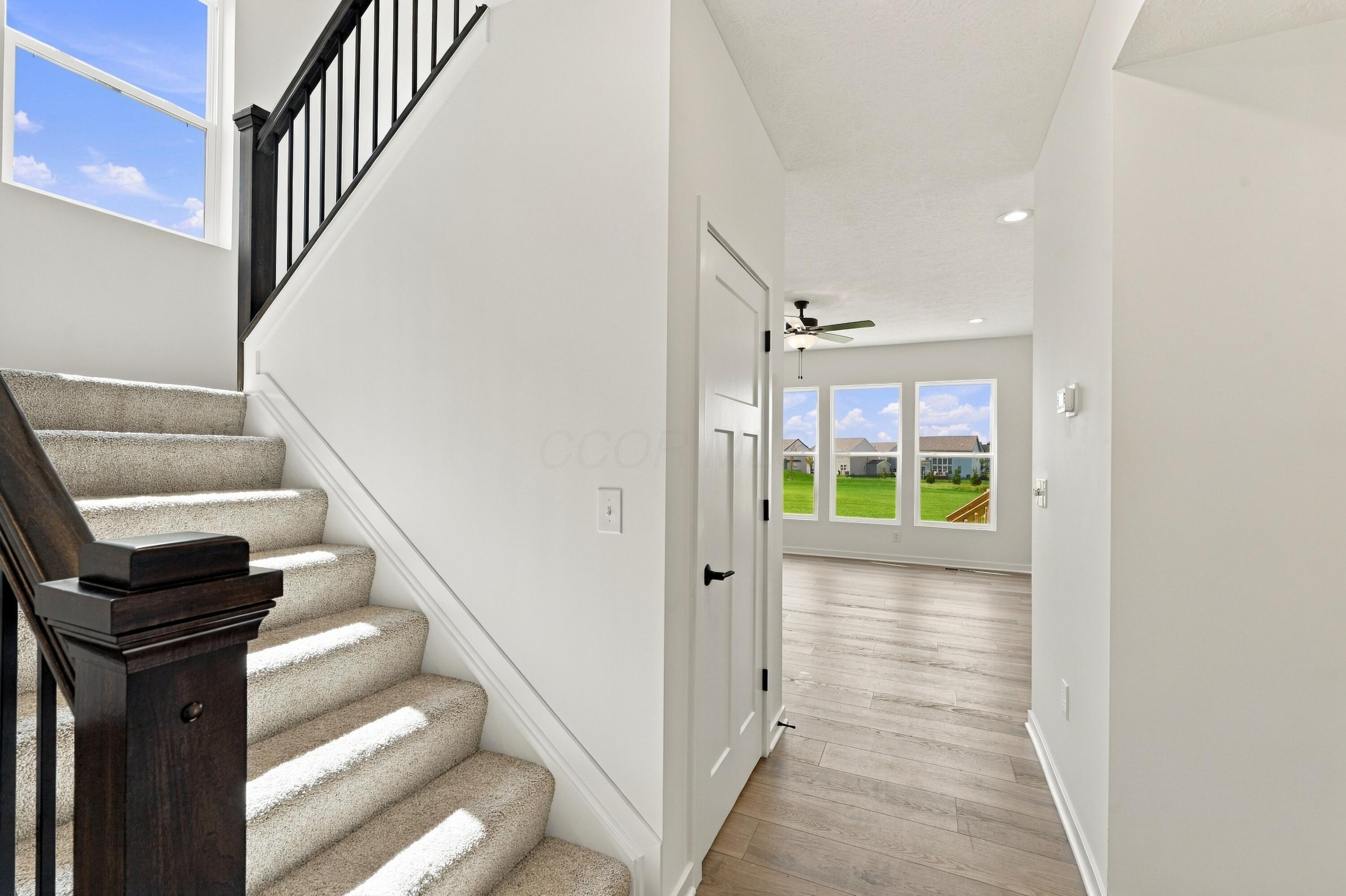 3851 Colts Reign Drive Property Photo 8