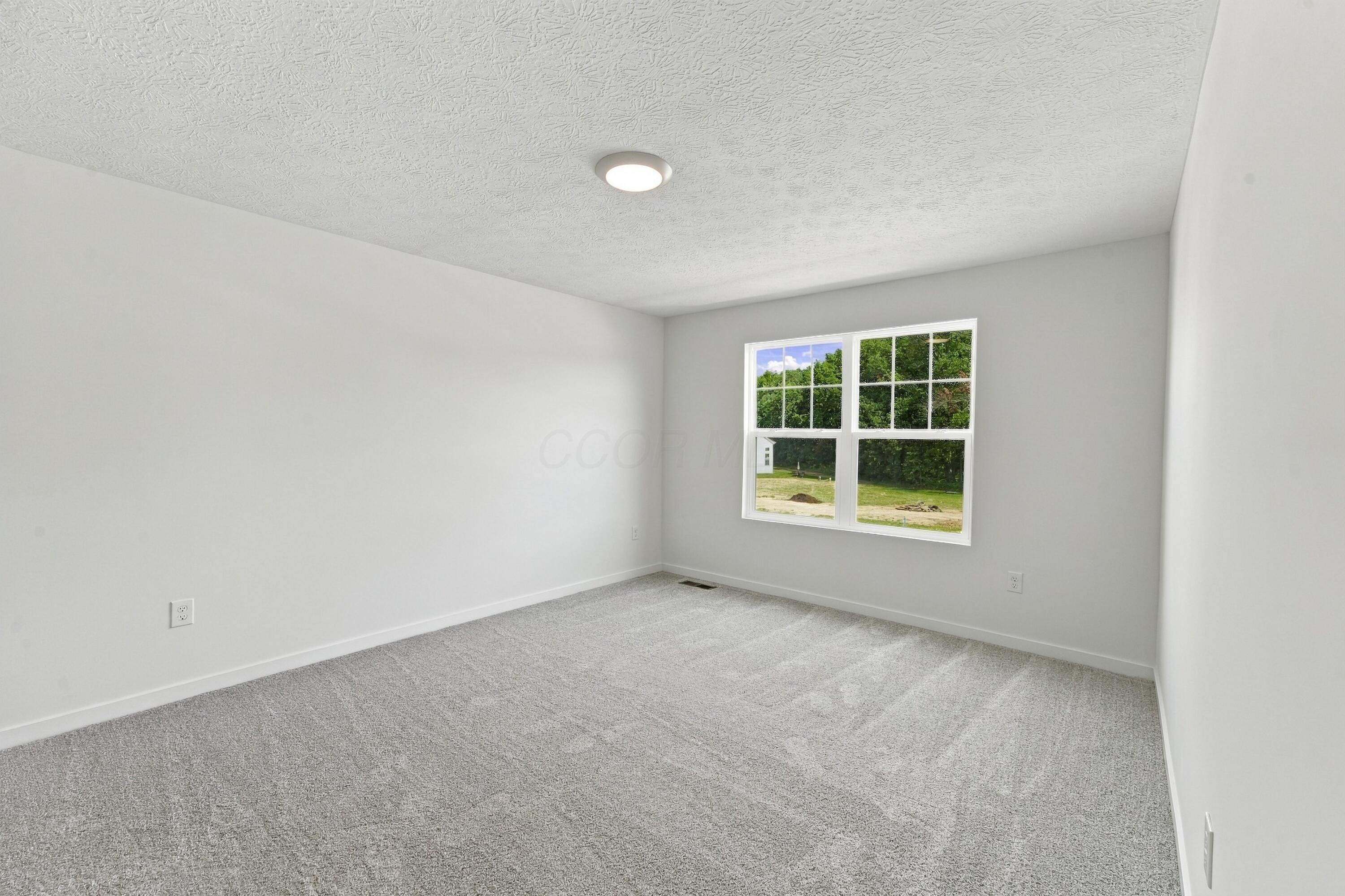 3851 Colts Reign Drive Property Photo 29