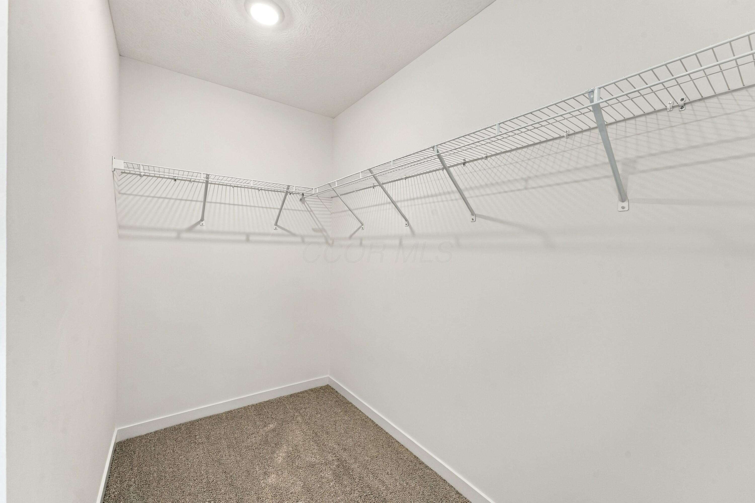 3851 Colts Reign Drive Property Photo 48