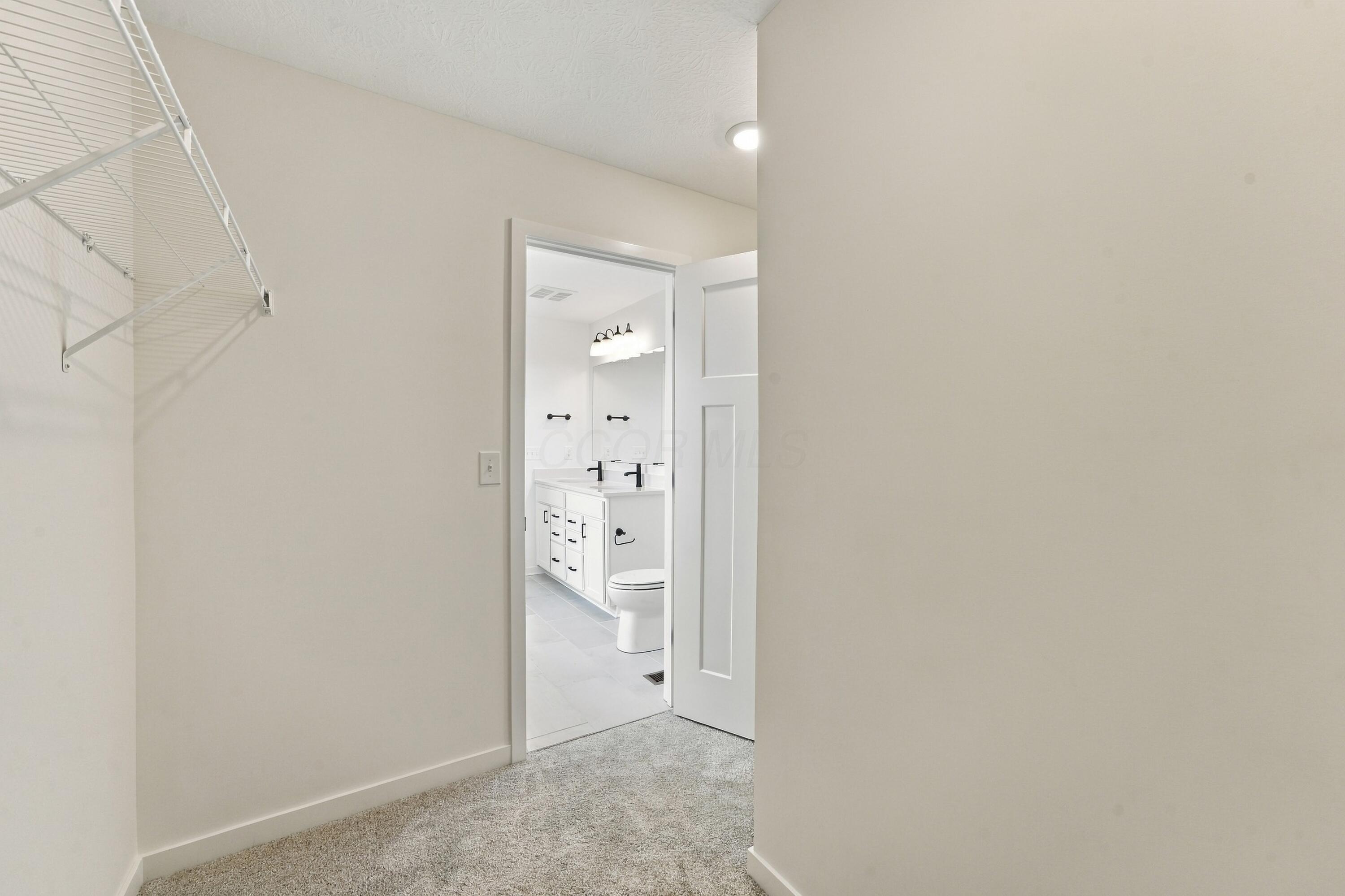 3851 Colts Reign Drive Property Photo 49