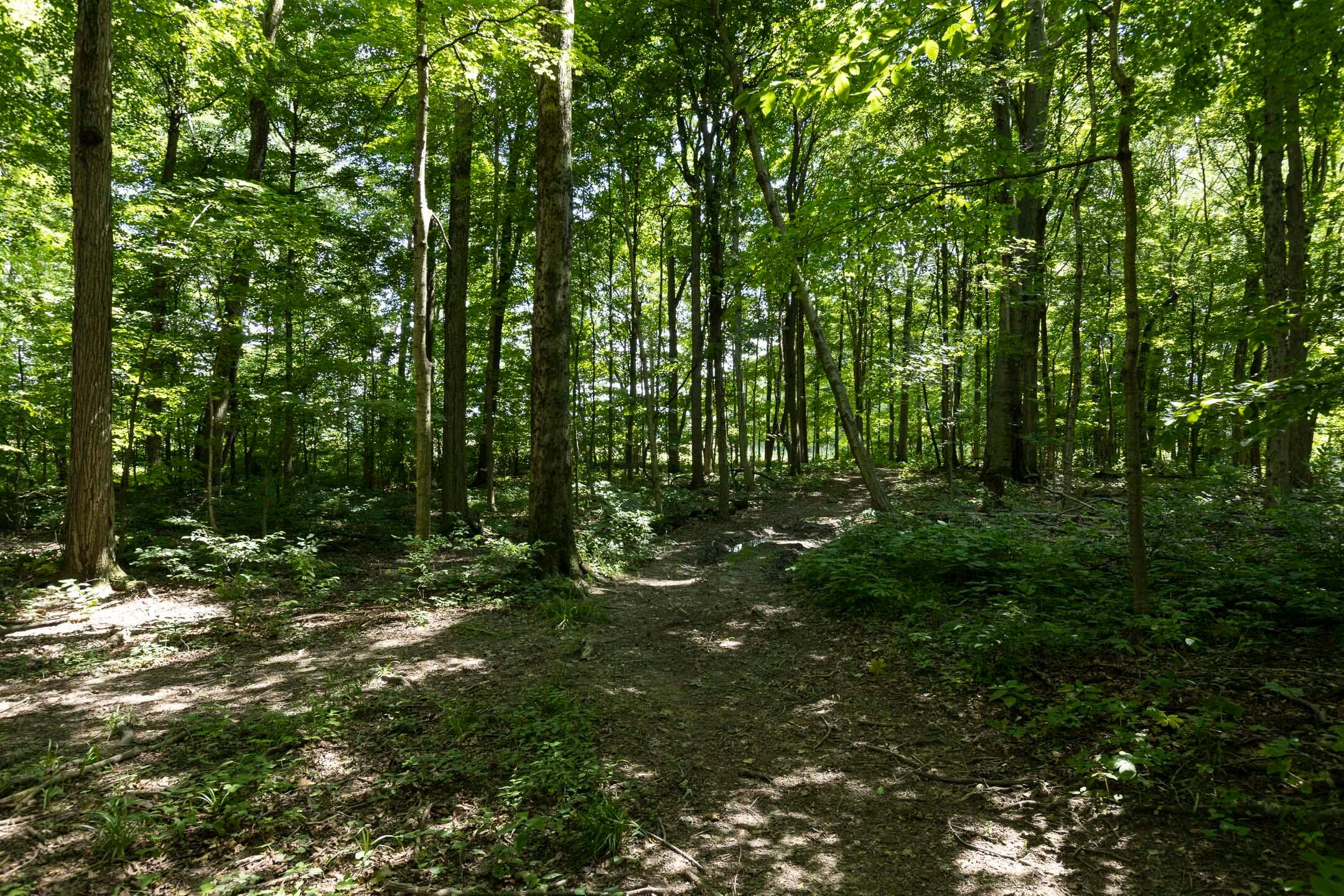 16357 Hartford Road Property Photo 18