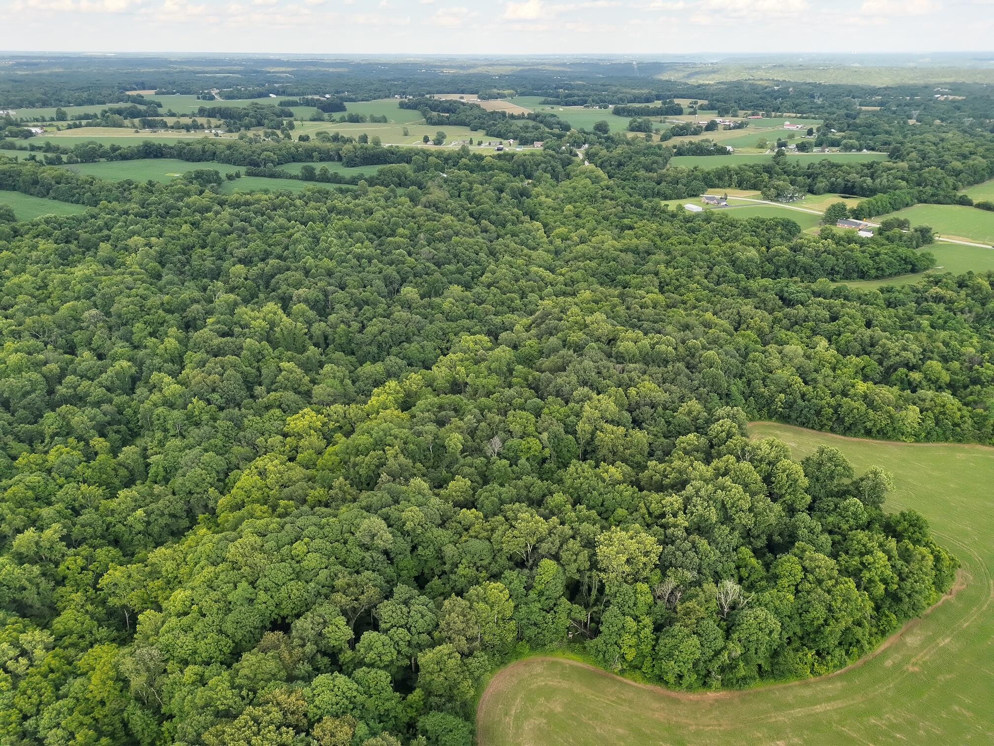 0 State Route 222 Property Photo 5