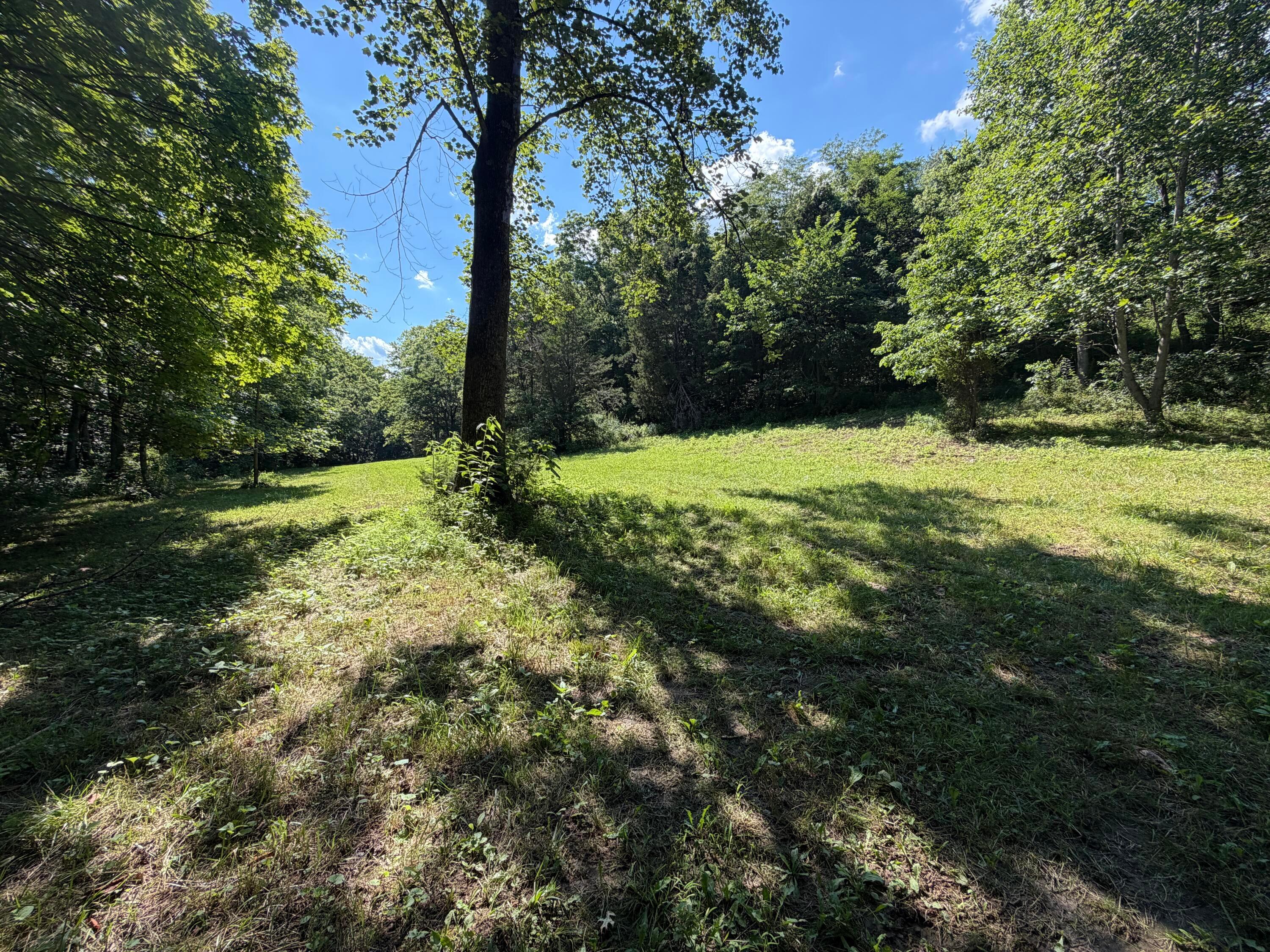 0 State Route 222 Property Photo 6