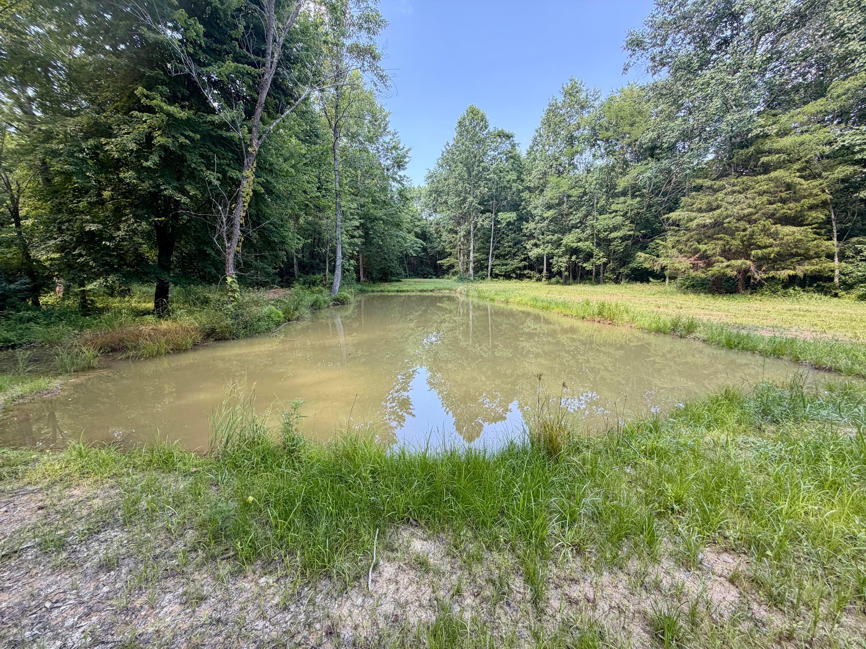 0 State Route 222 Property Photo 8