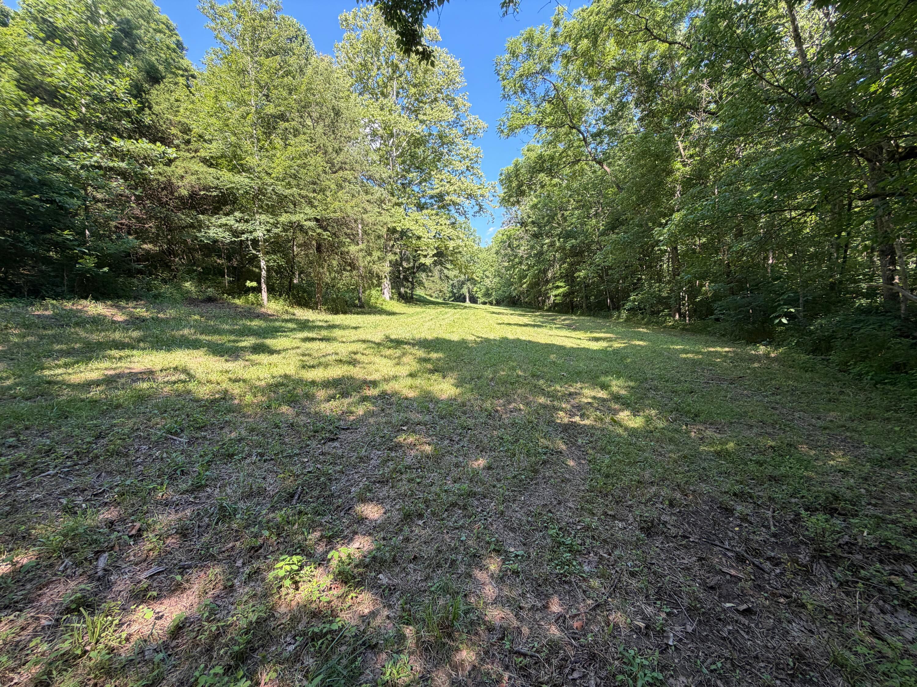 0 State Route 222 Property Photo 9