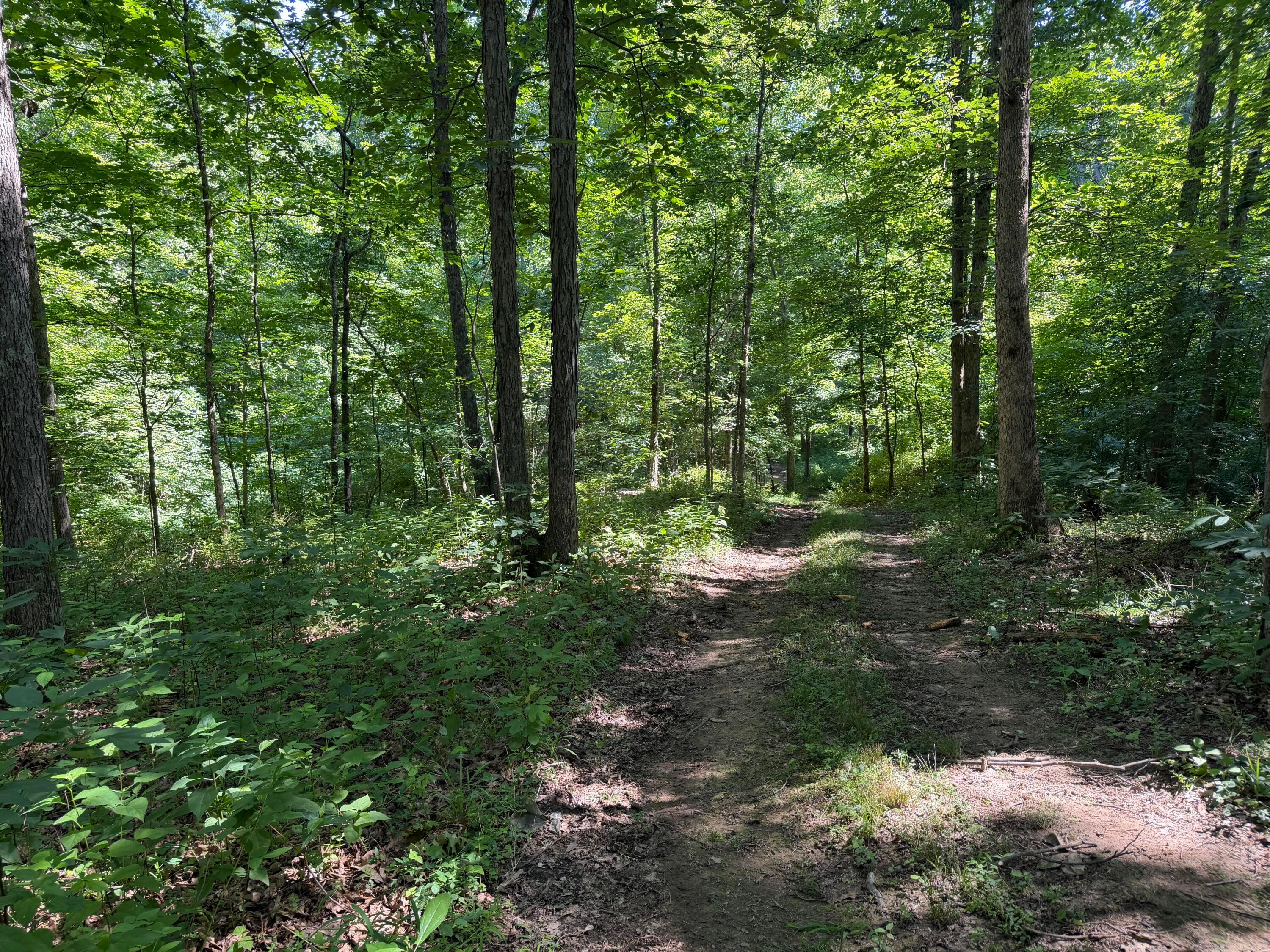 0 State Route 222 Property Photo 10
