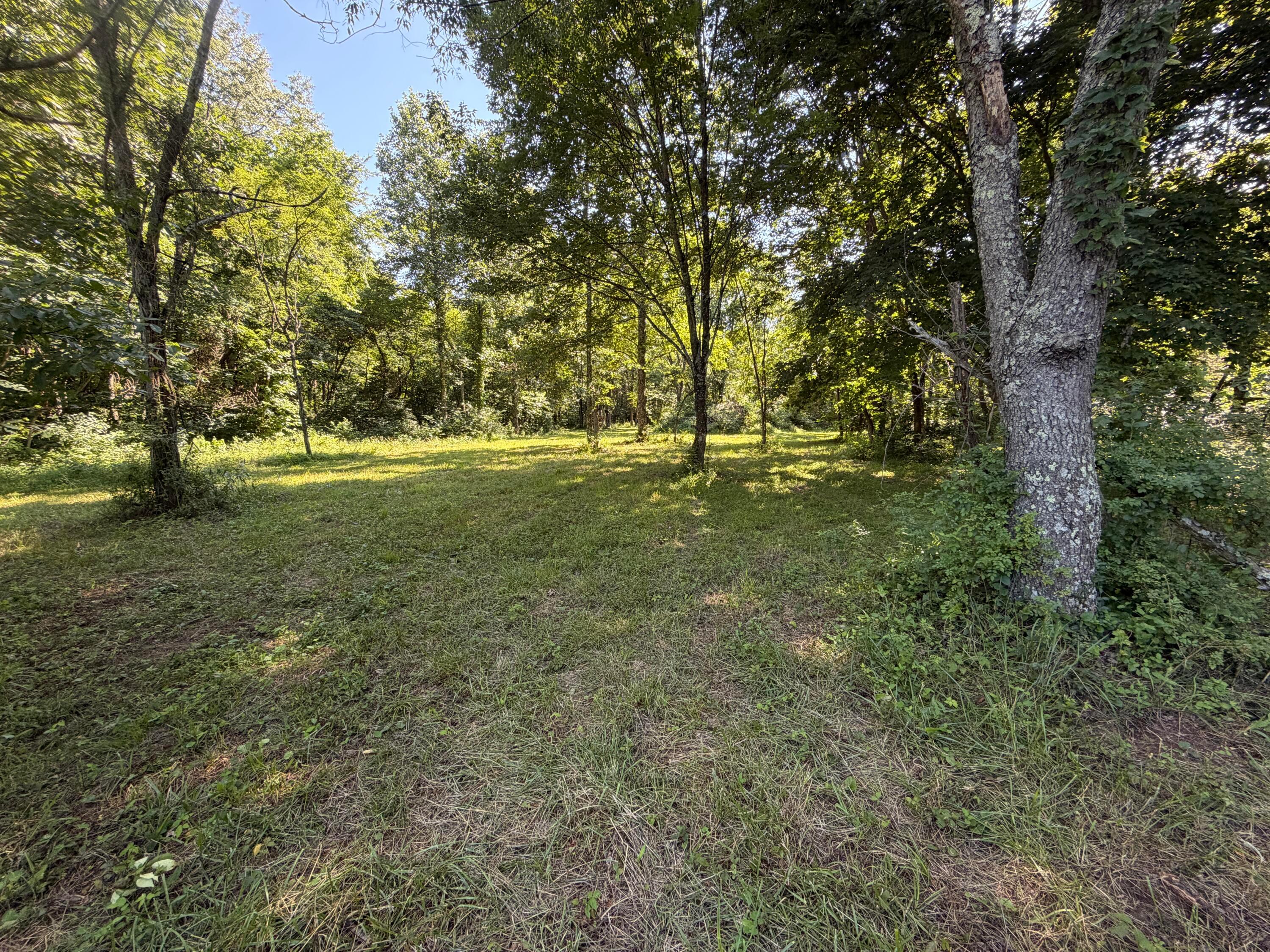 0 State Route 222 Property Photo 12