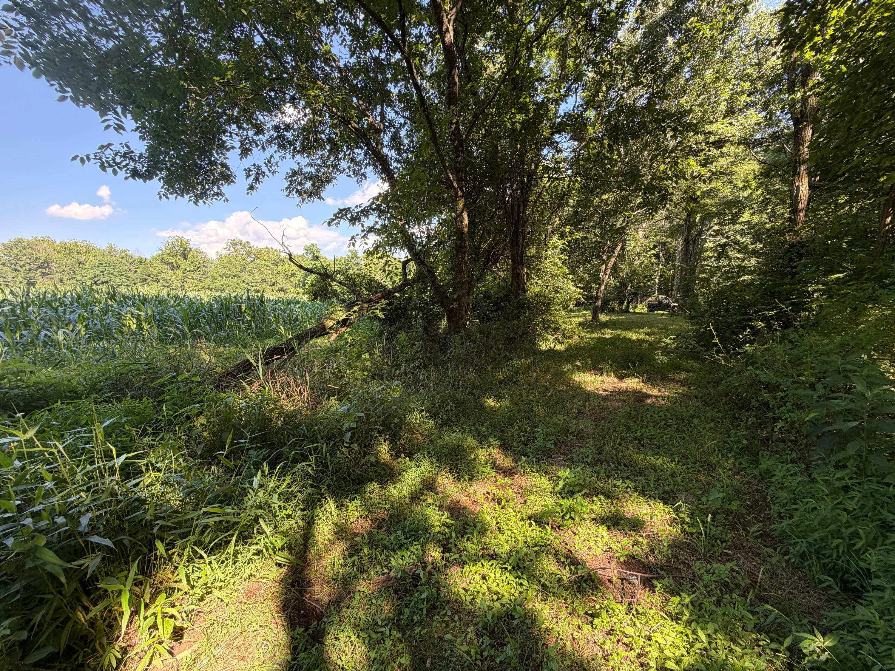 0 State Route 222 Property Photo 13