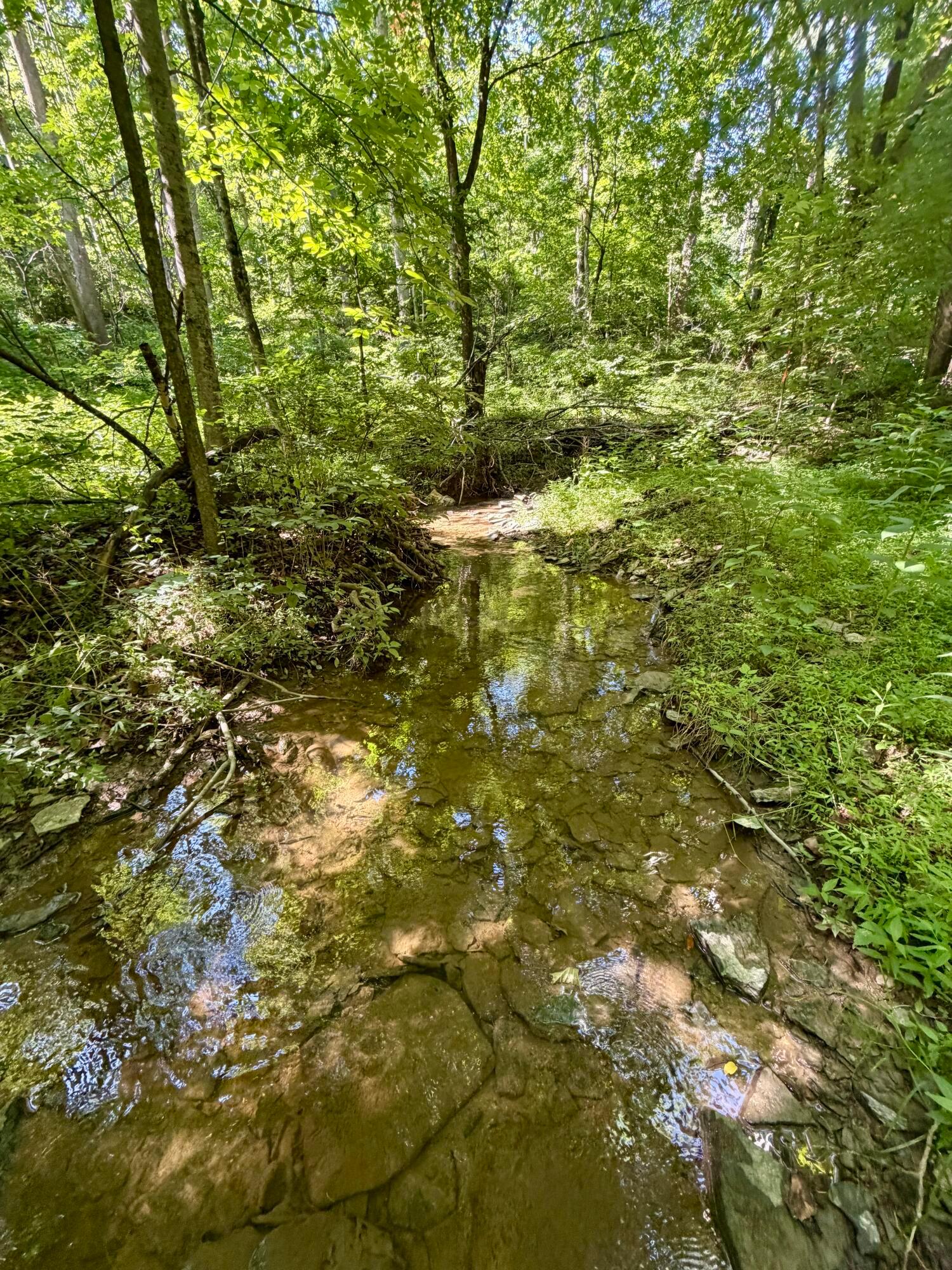 0 State Route 222 Property Photo 14