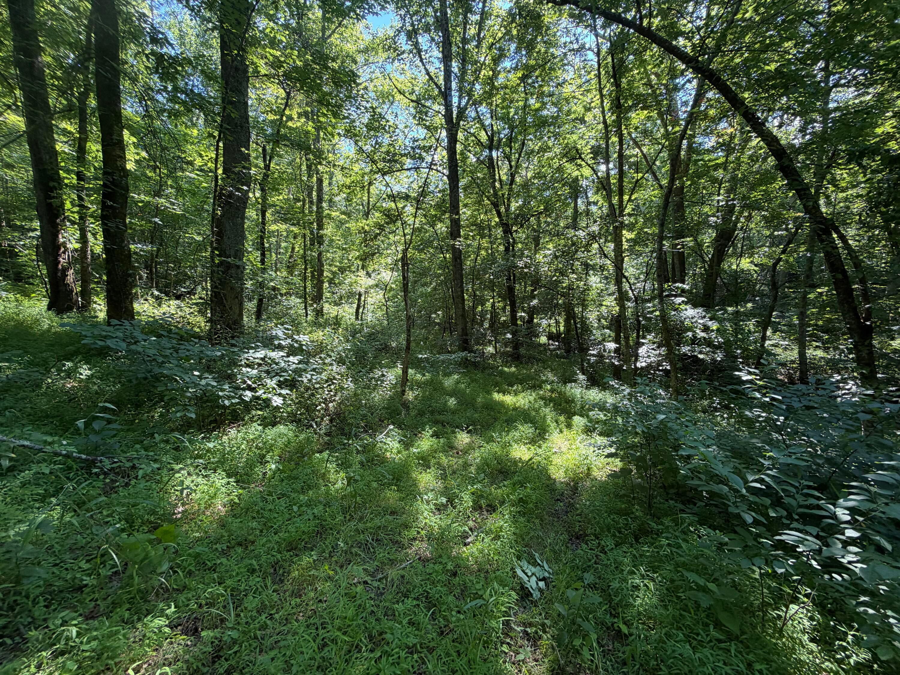 0 State Route 222 Property Photo 17