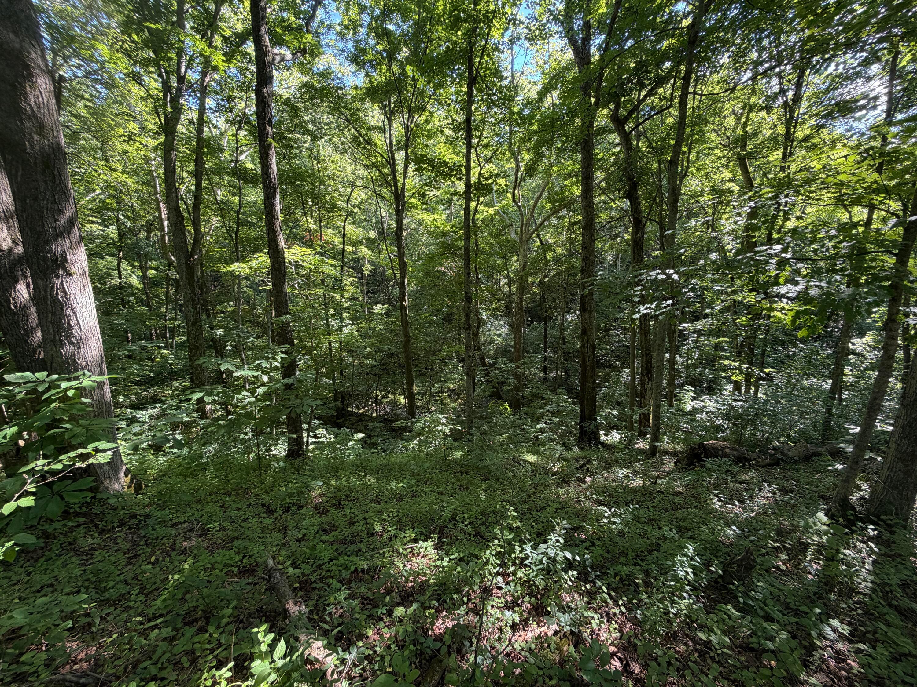0 State Route 222 Property Photo 18