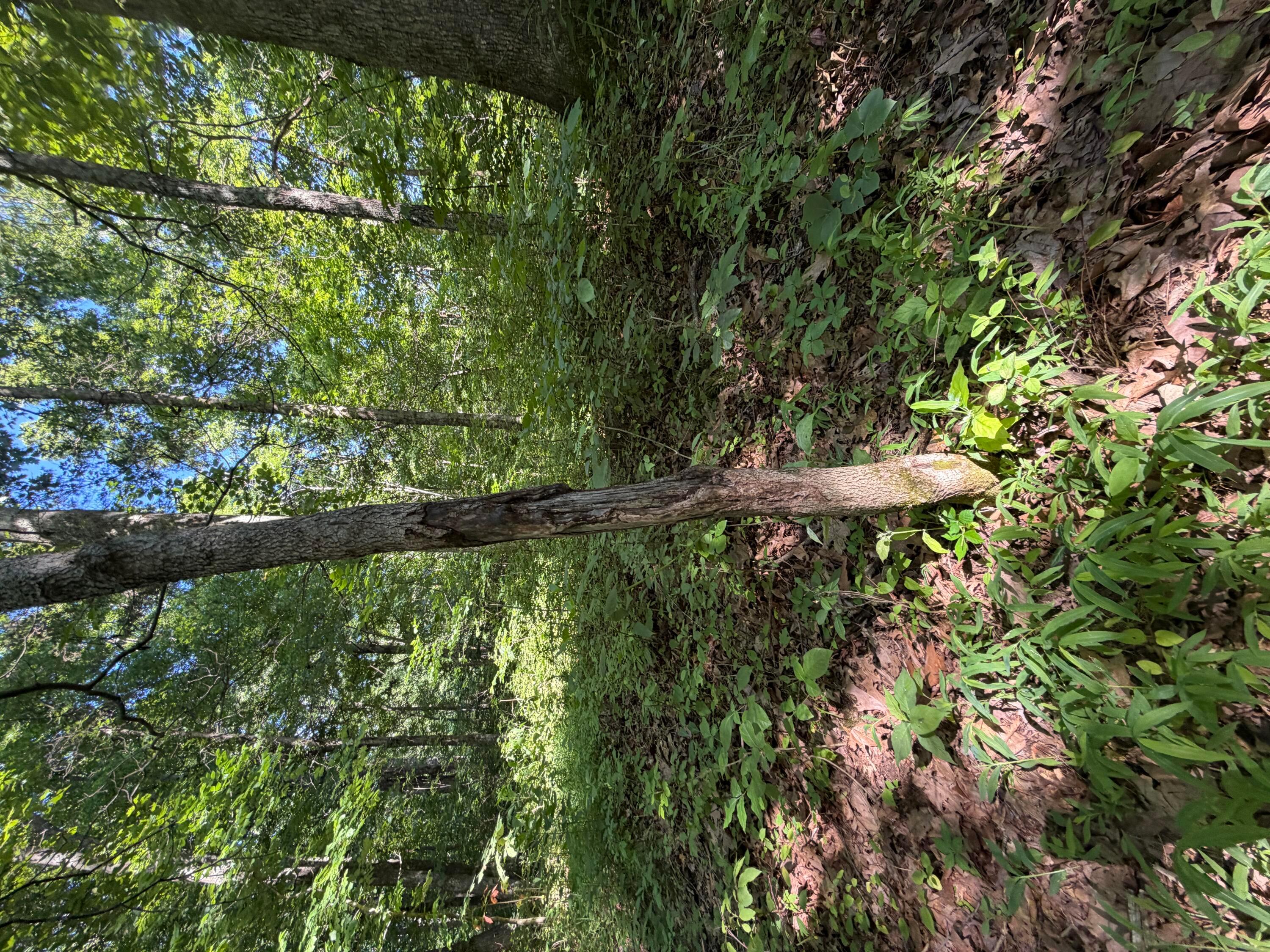 0 State Route 222 Property Photo 19
