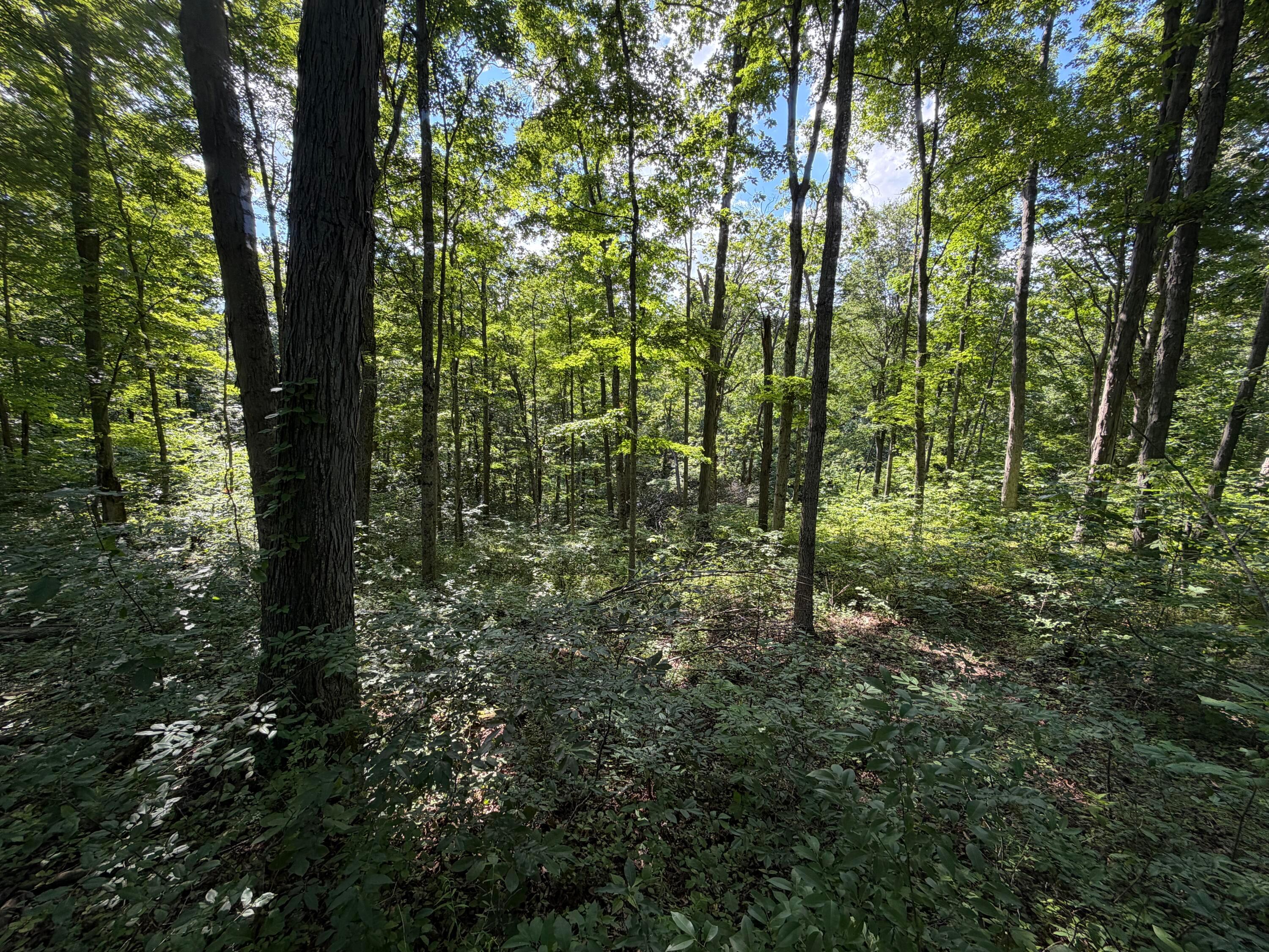 0 State Route 222 Property Photo 20
