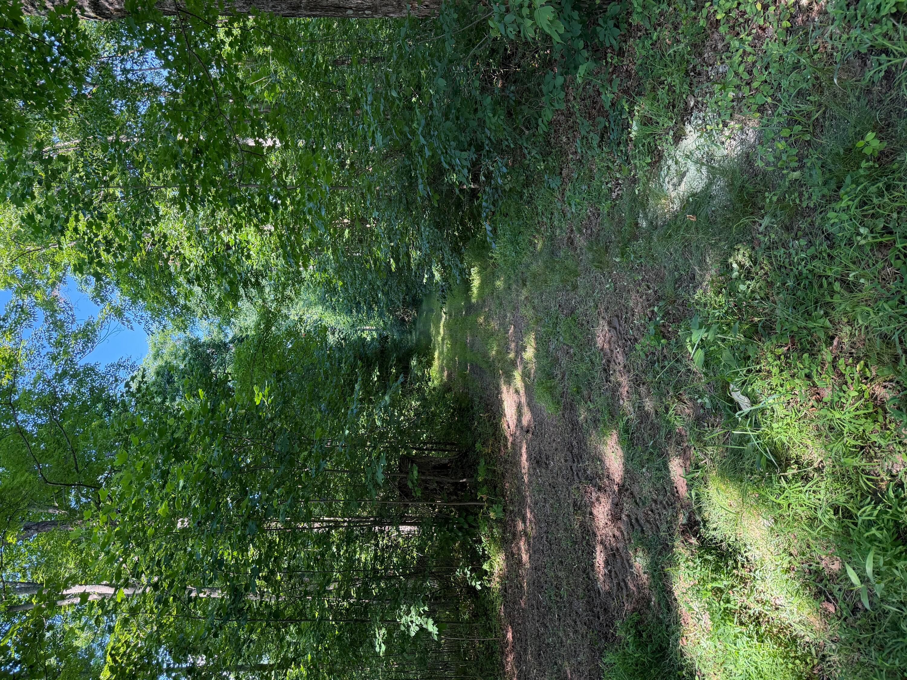 0 State Route 222 Property Photo 21