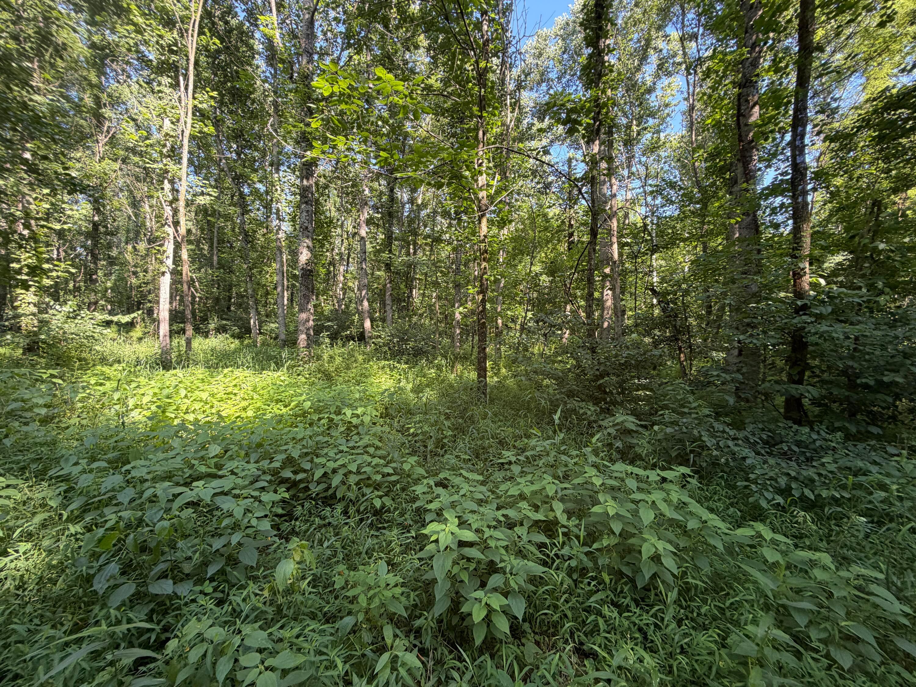 0 State Route 222 Property Photo 22