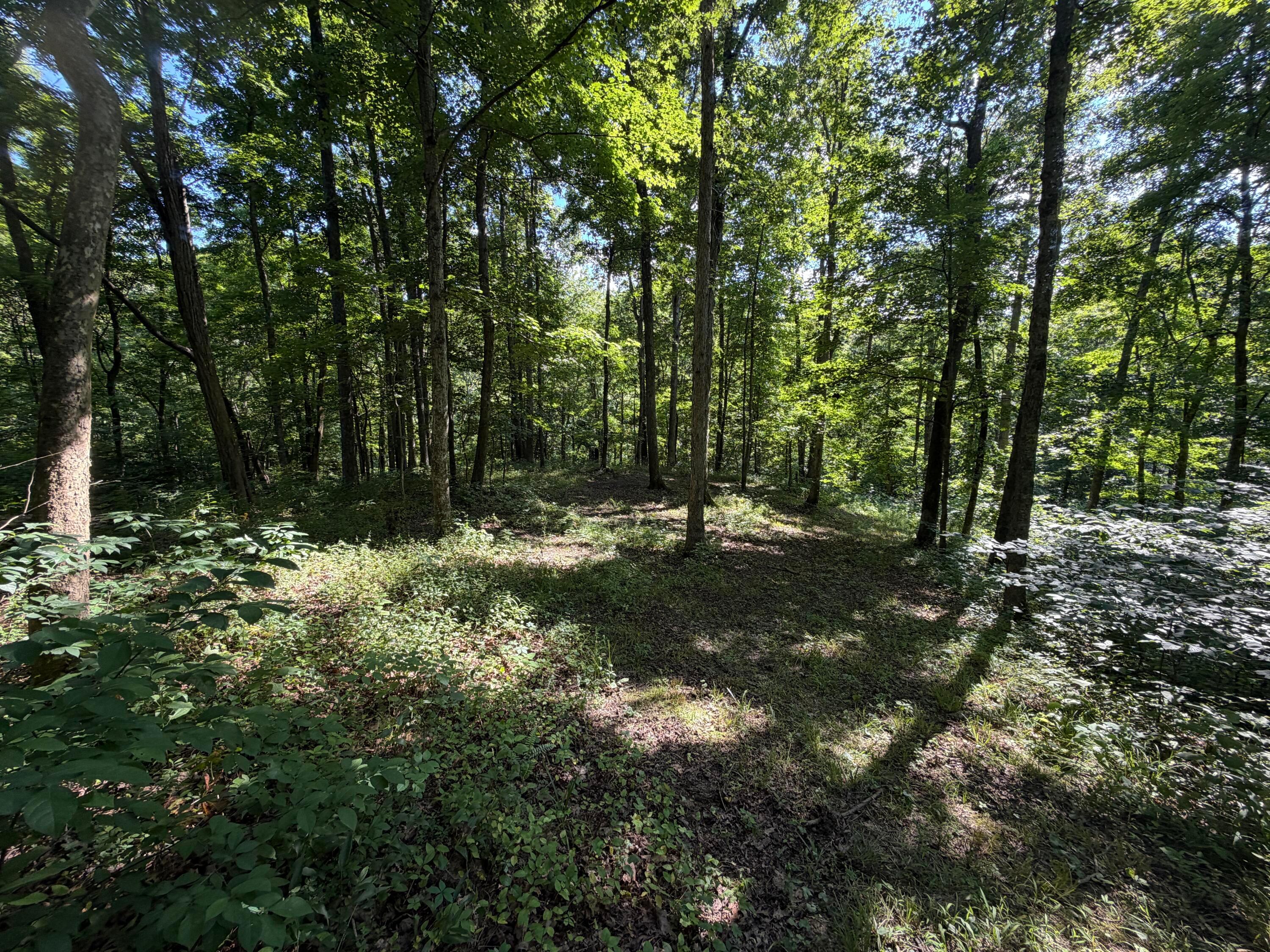 0 State Route 222 Property Photo 23