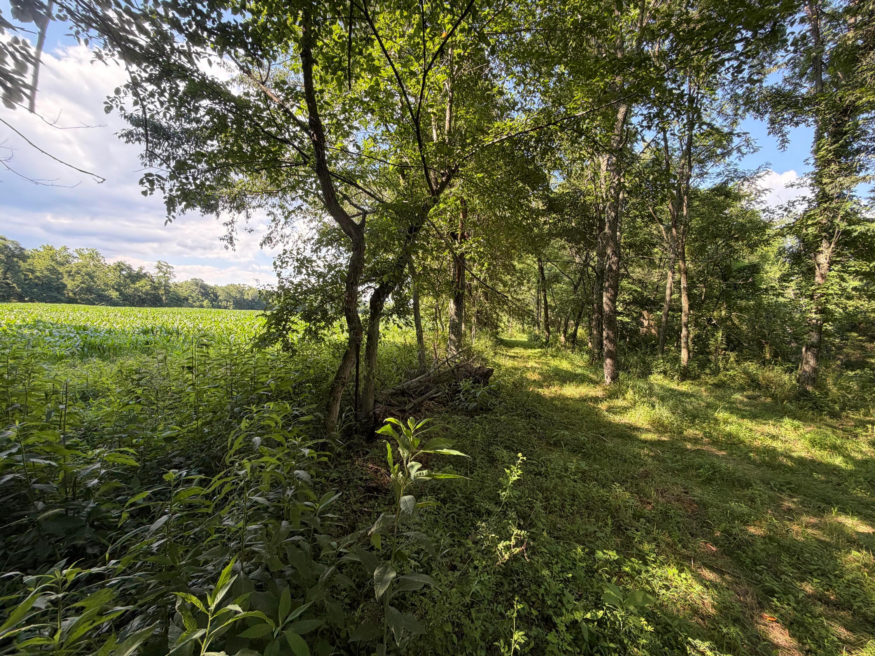 0 State Route 222 Property Photo 29