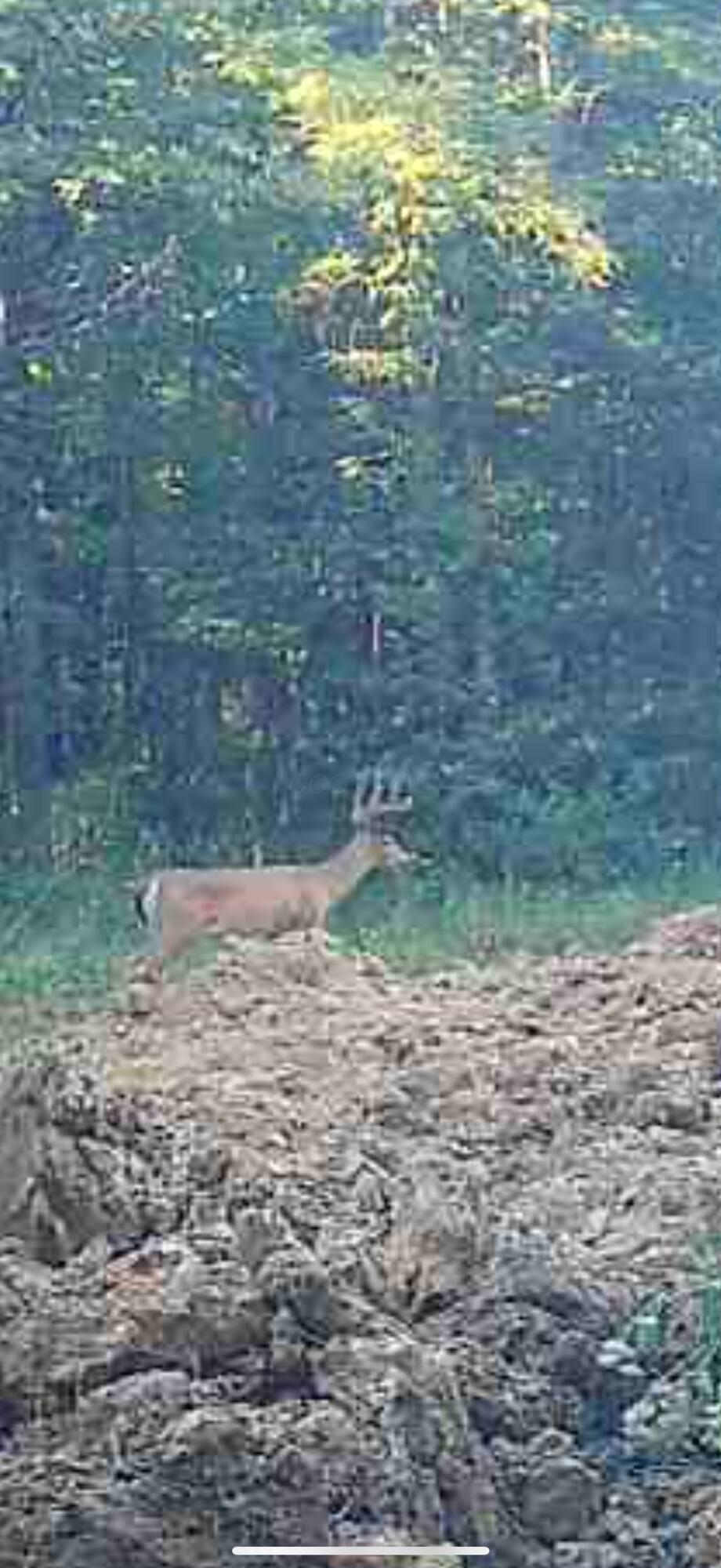 0 State Route 222 Property Photo 30