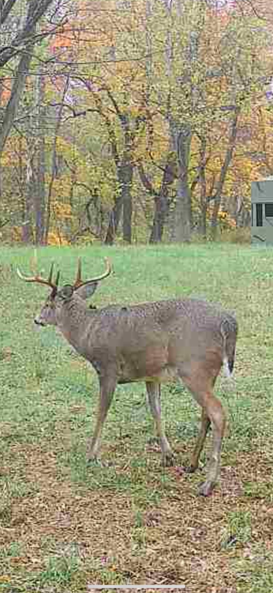 0 State Route 222 Property Photo 31