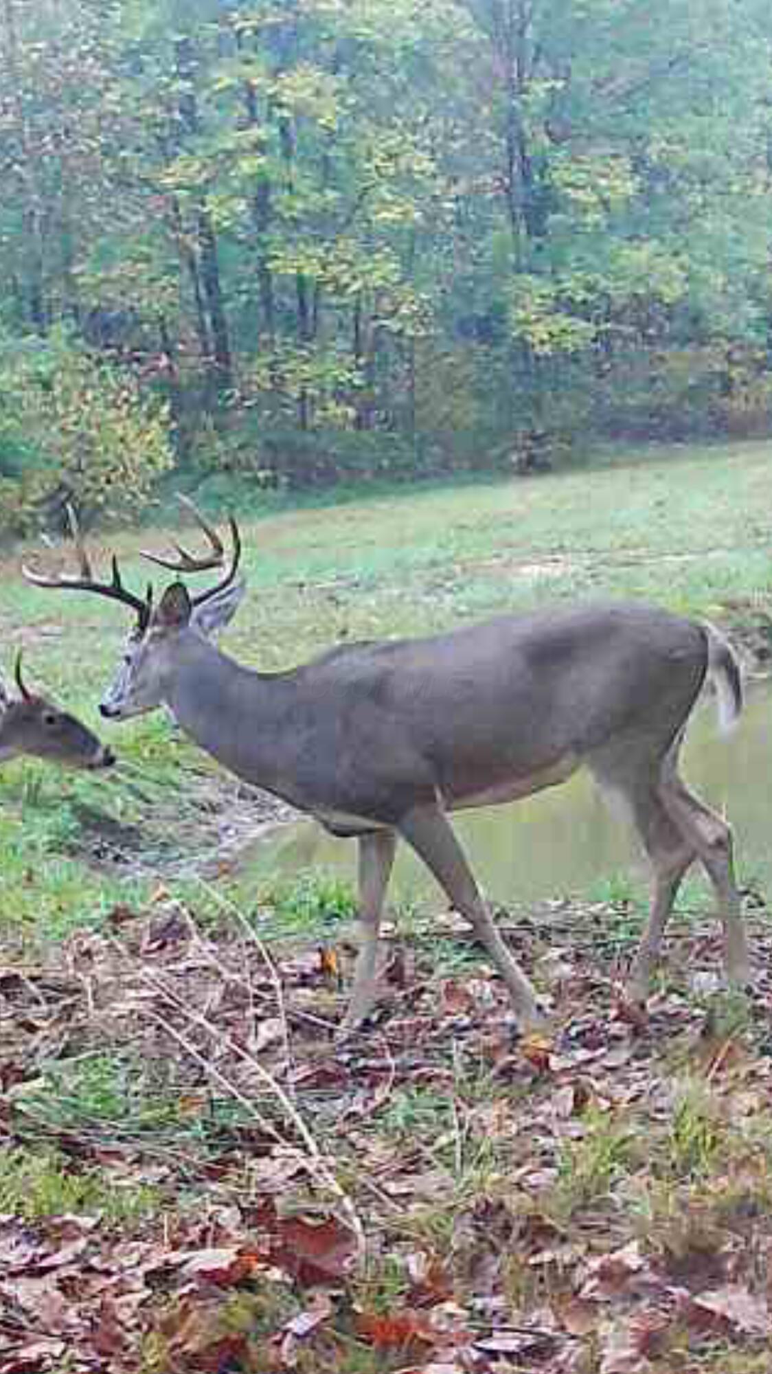 0 State Route 222 Property Photo 35