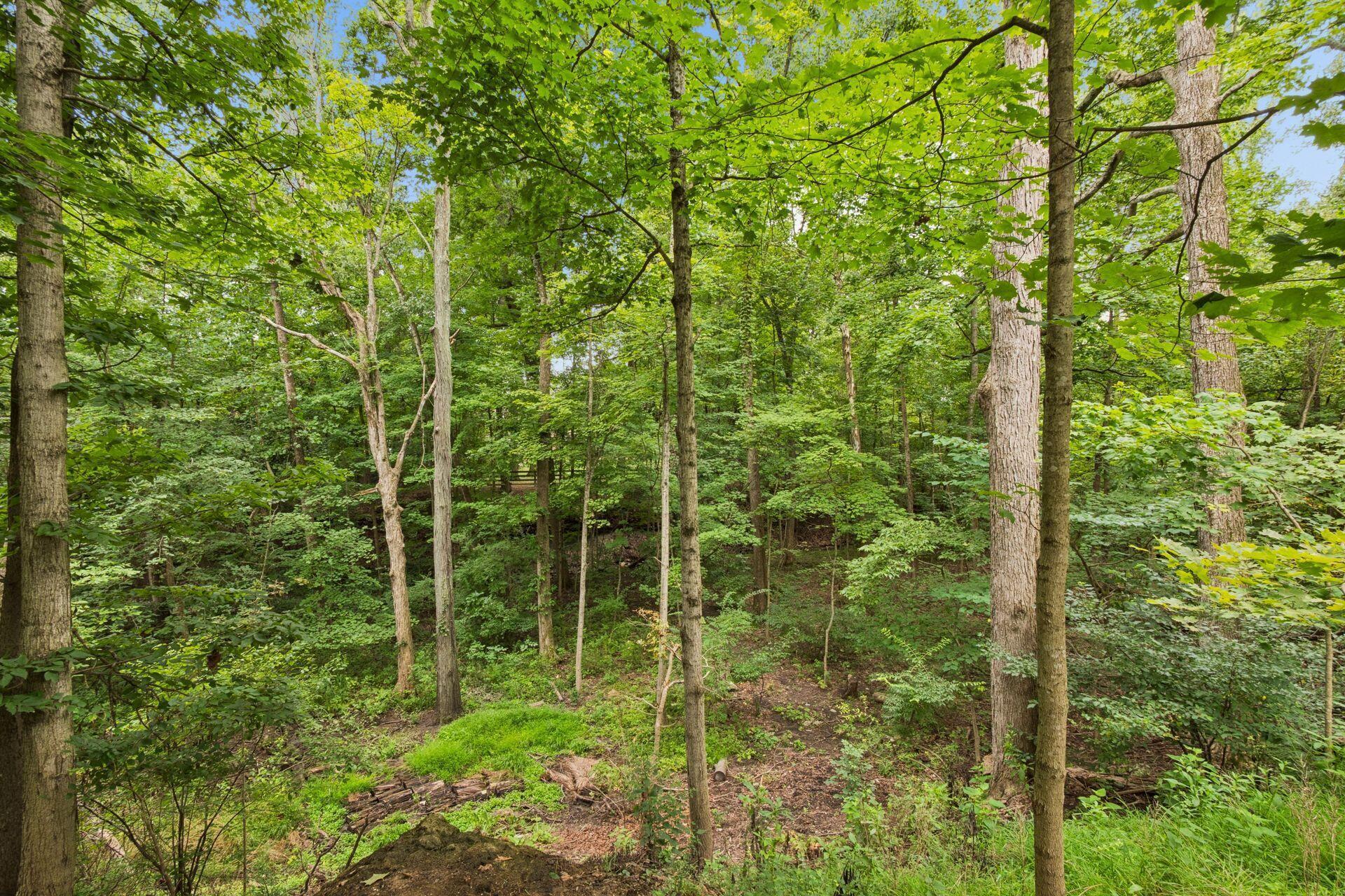 285 Partridge Bend Property Photo 125